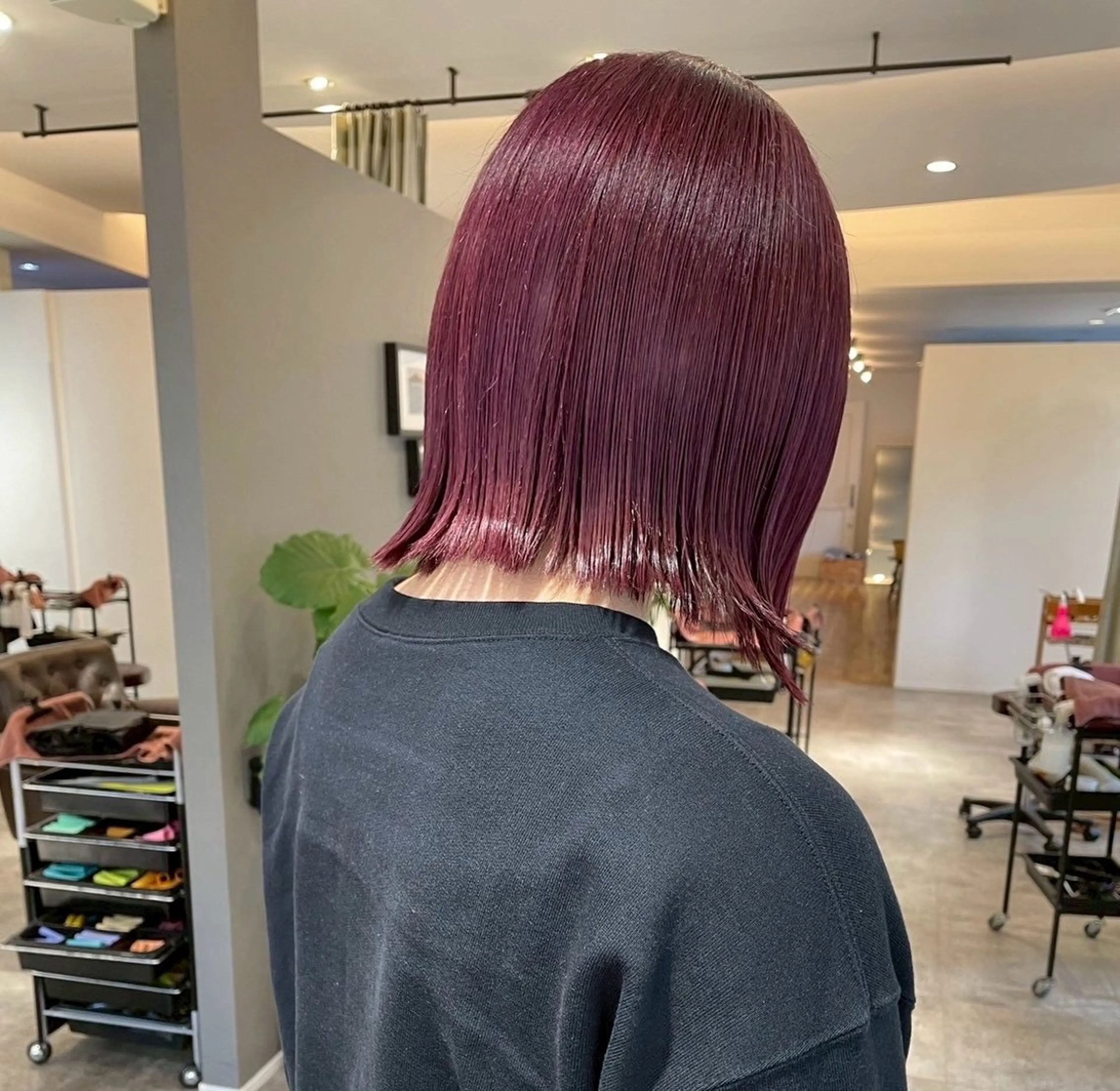 カラー ヘアカラー トリートメント miku /艶カラー🌙のヘアスタイル