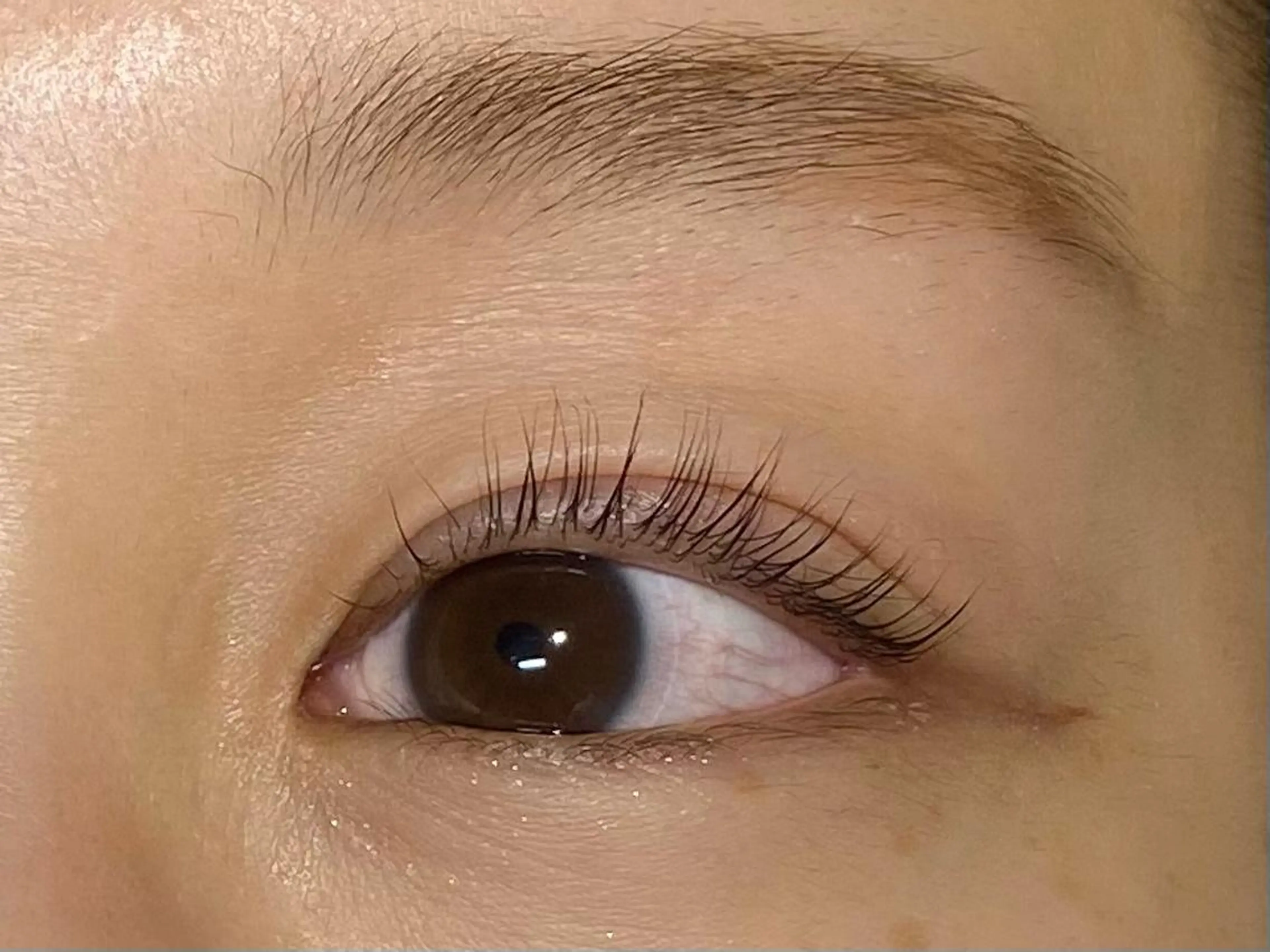 パーマ マツエク・マツパ パリジェンヌラッシュリフト アイマジック新宿南口所属・アイマジック新宿南口 ♡kaede♡の眉毛・アイブロウイメージ