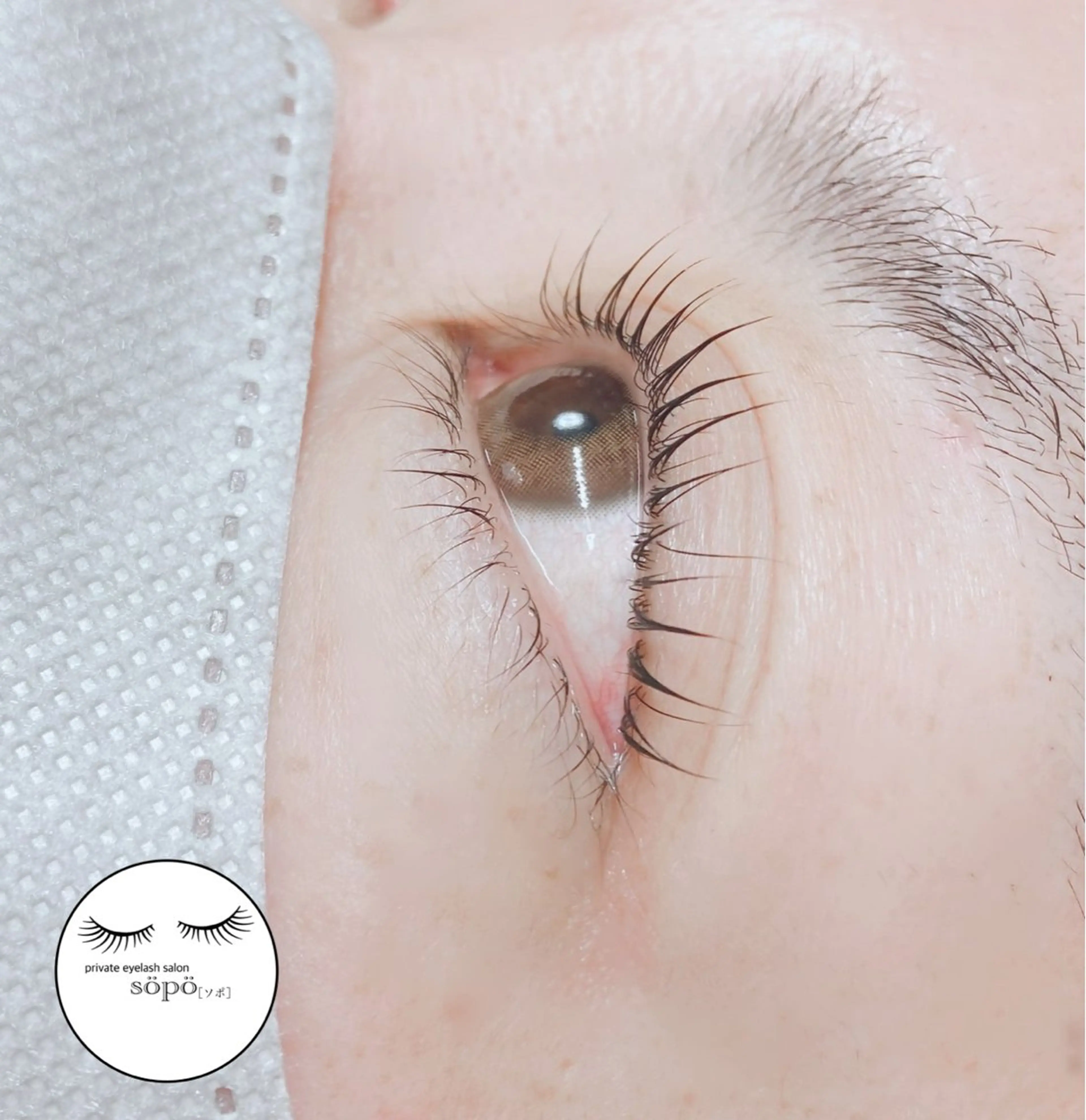 マツエク・マツパ ケラチンラッシュリフト マツパ private　eyelash　salon　söpö所属・まつげサロン söpö  ソポのマツエク・マツパデザイン