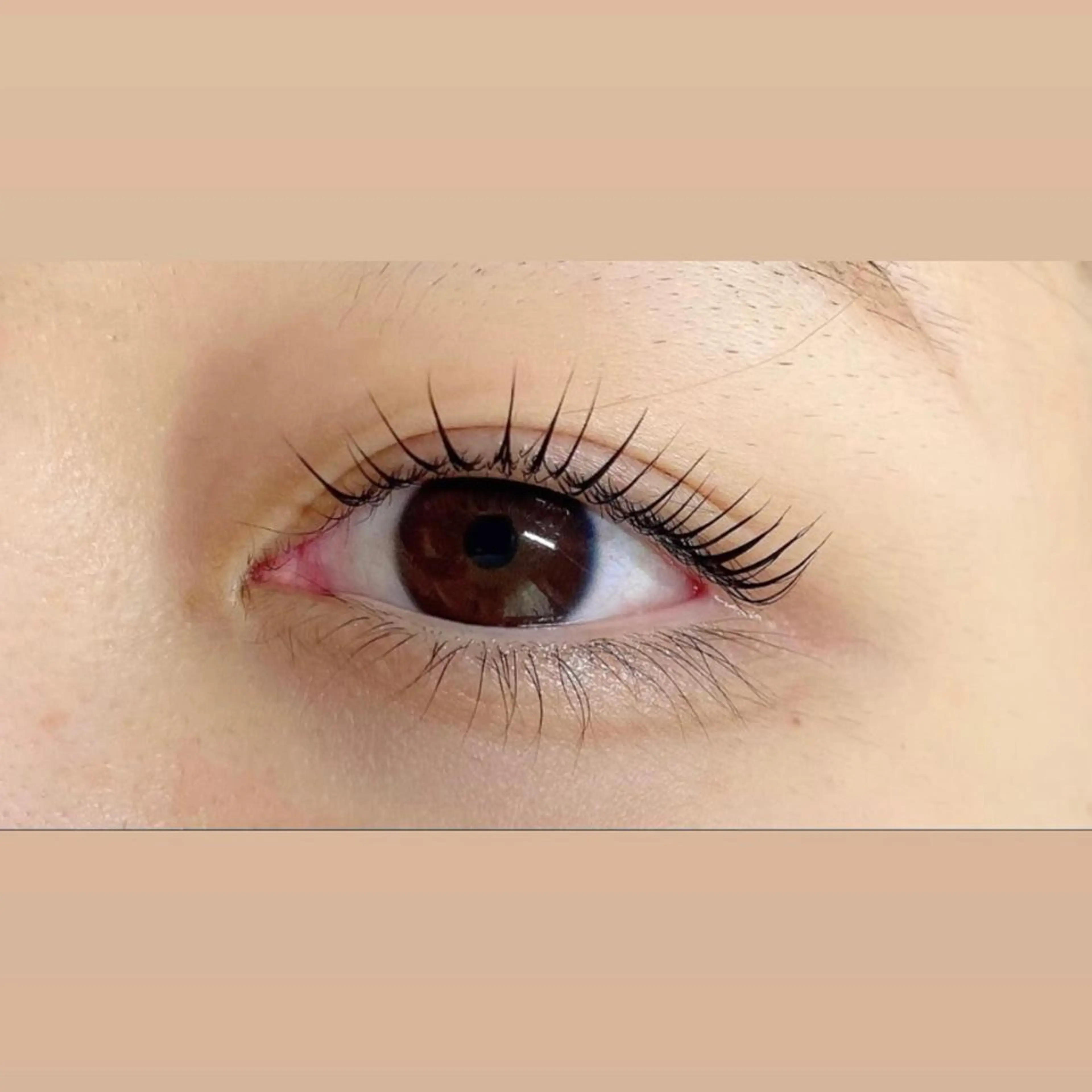 マツエク・マツパ まつげパーマ マツパ eyelash clear池袋のマツエク・マツパデザイン