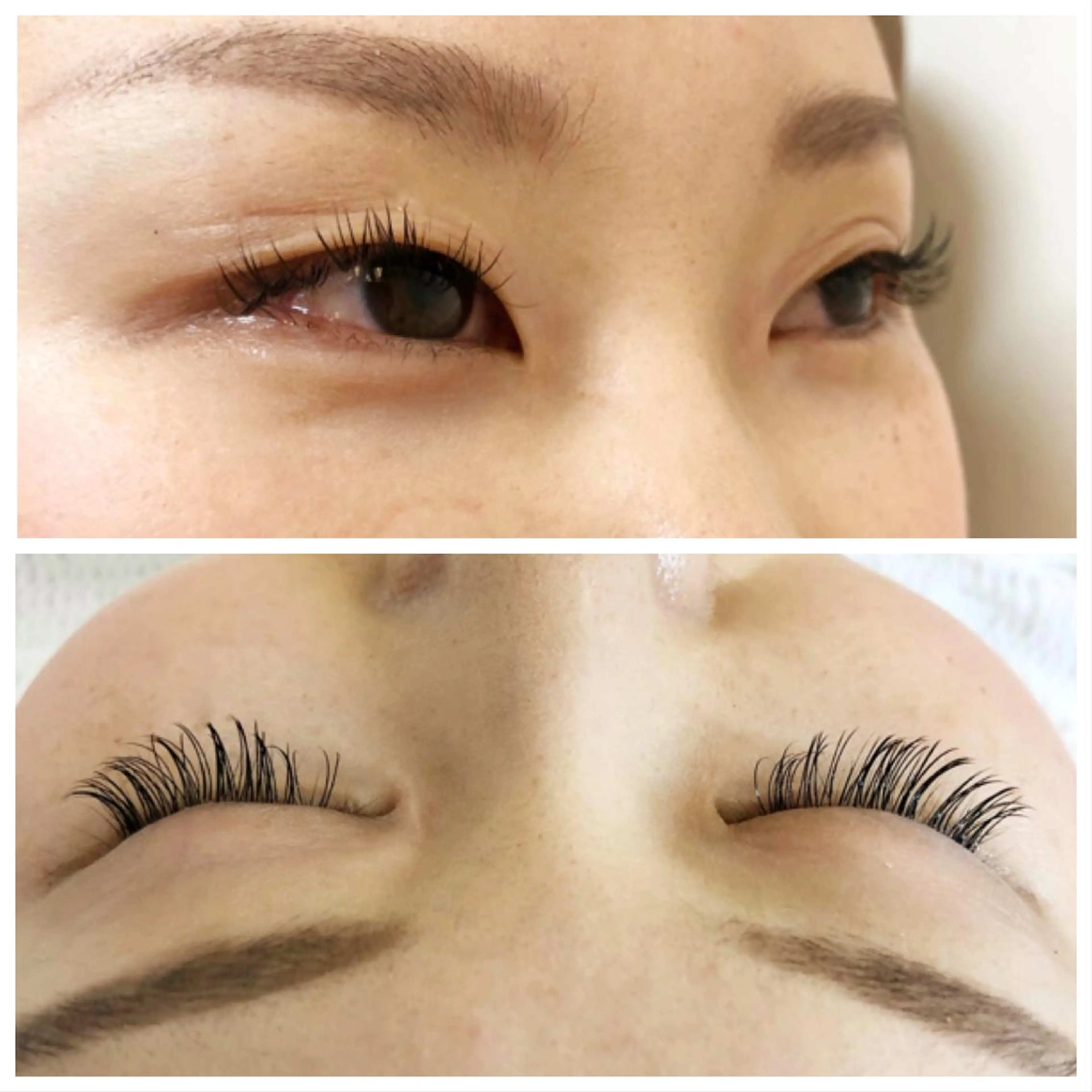 マツエク・マツパ Cカール フラットラッシュ Masumi .のマツエク・マツパデザイン