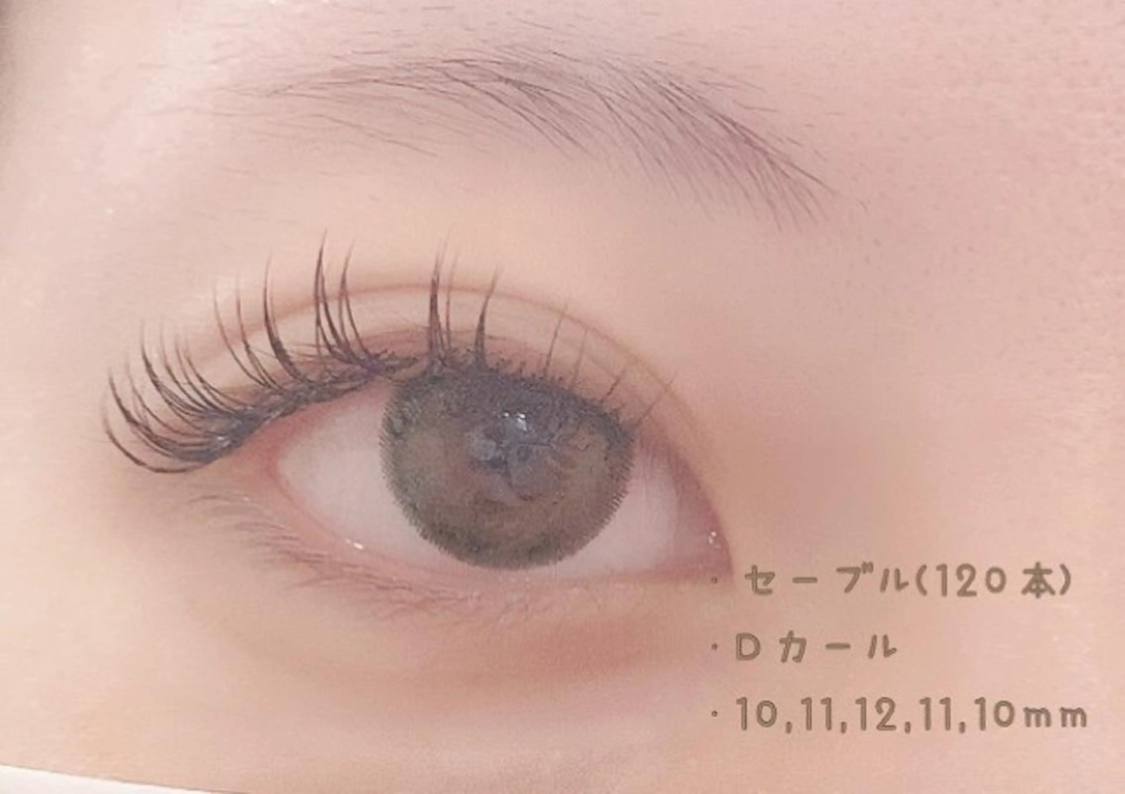 マツエク・マツパ キュート Dカール セーブル 須藤 菜々の眉毛・アイブロウイメージ