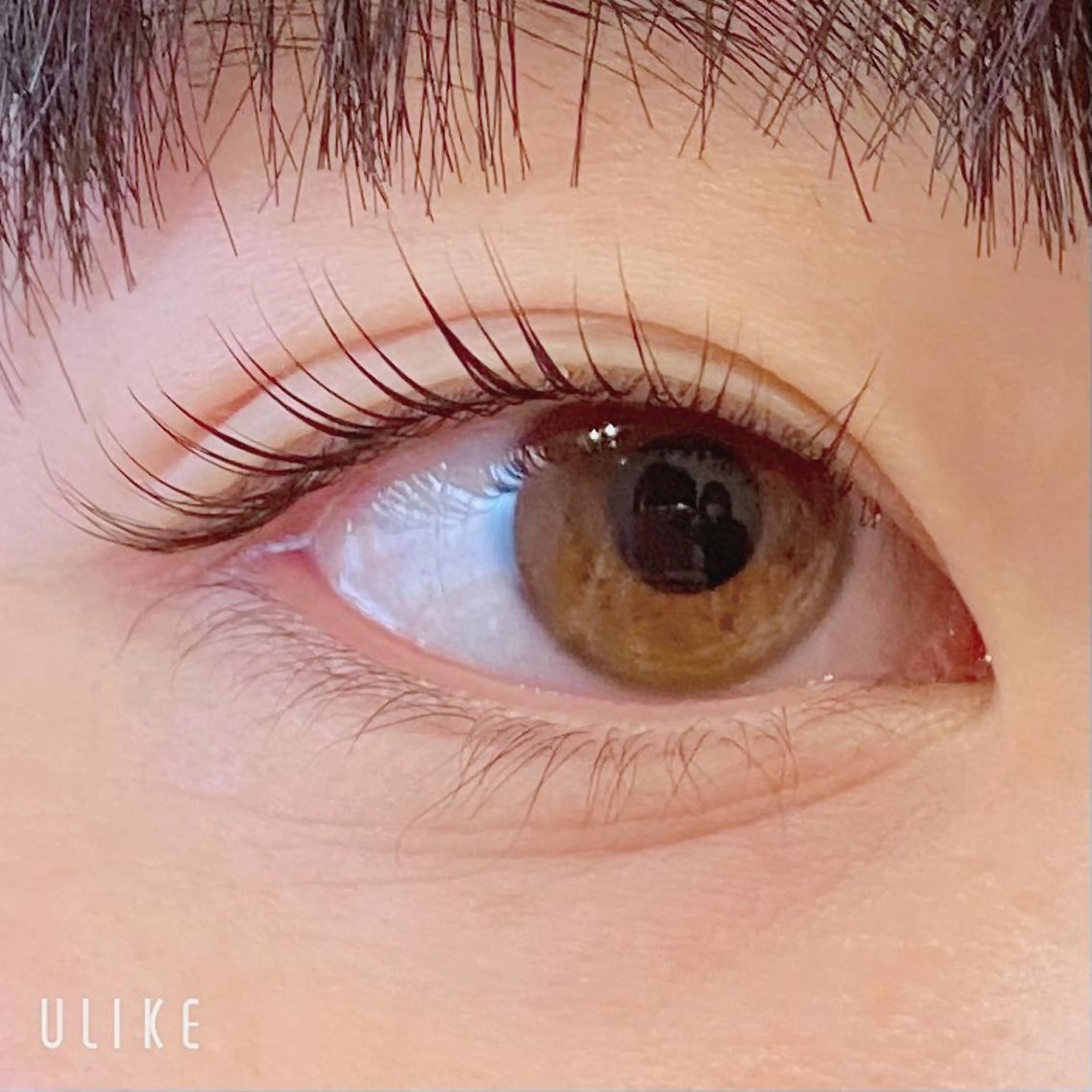 マツエク・マツパ まつげパーマ マツパ 清水 あやねのマツエク・マツパデザイン