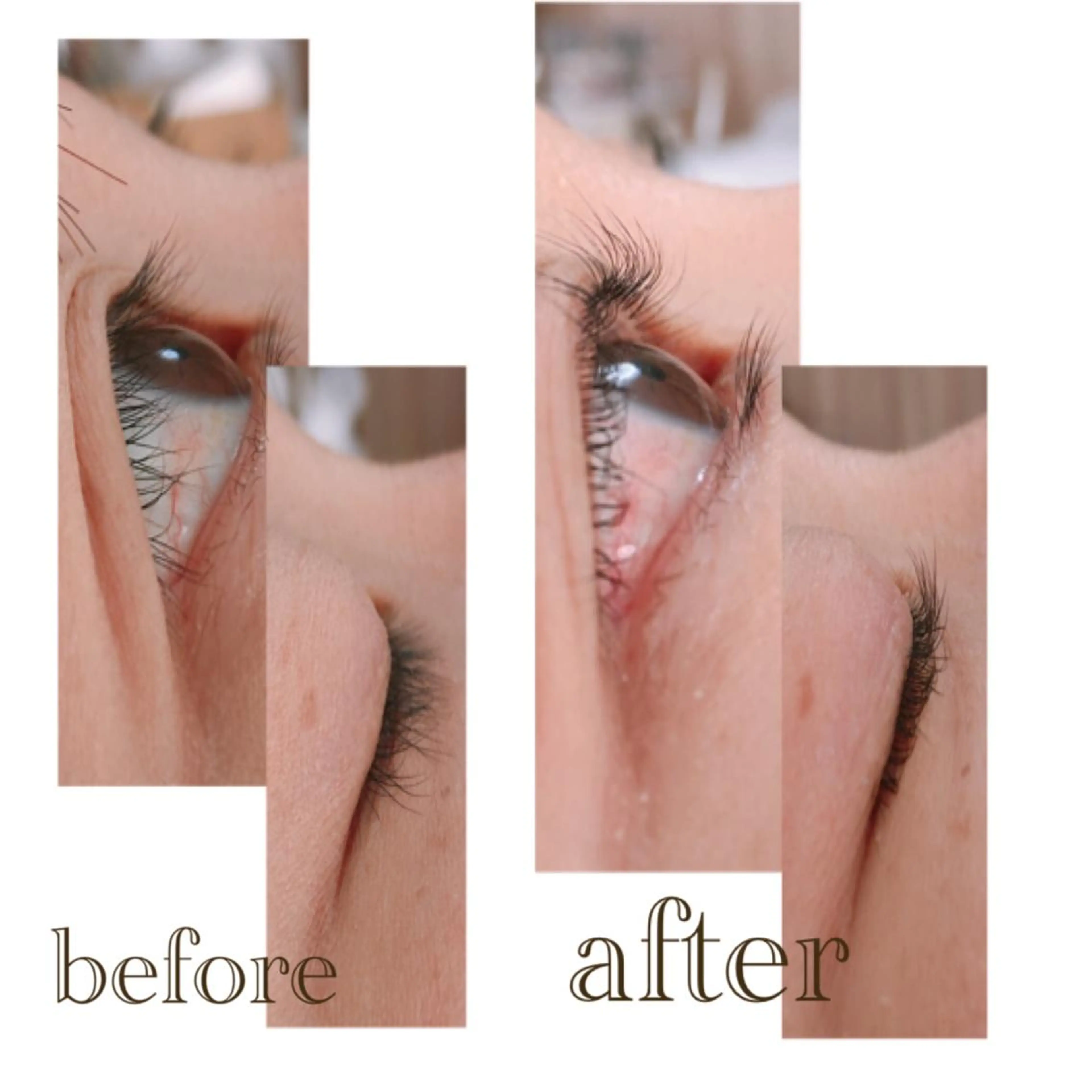 マツエク・マツパ melt まみのマツエク・マツパデザイン