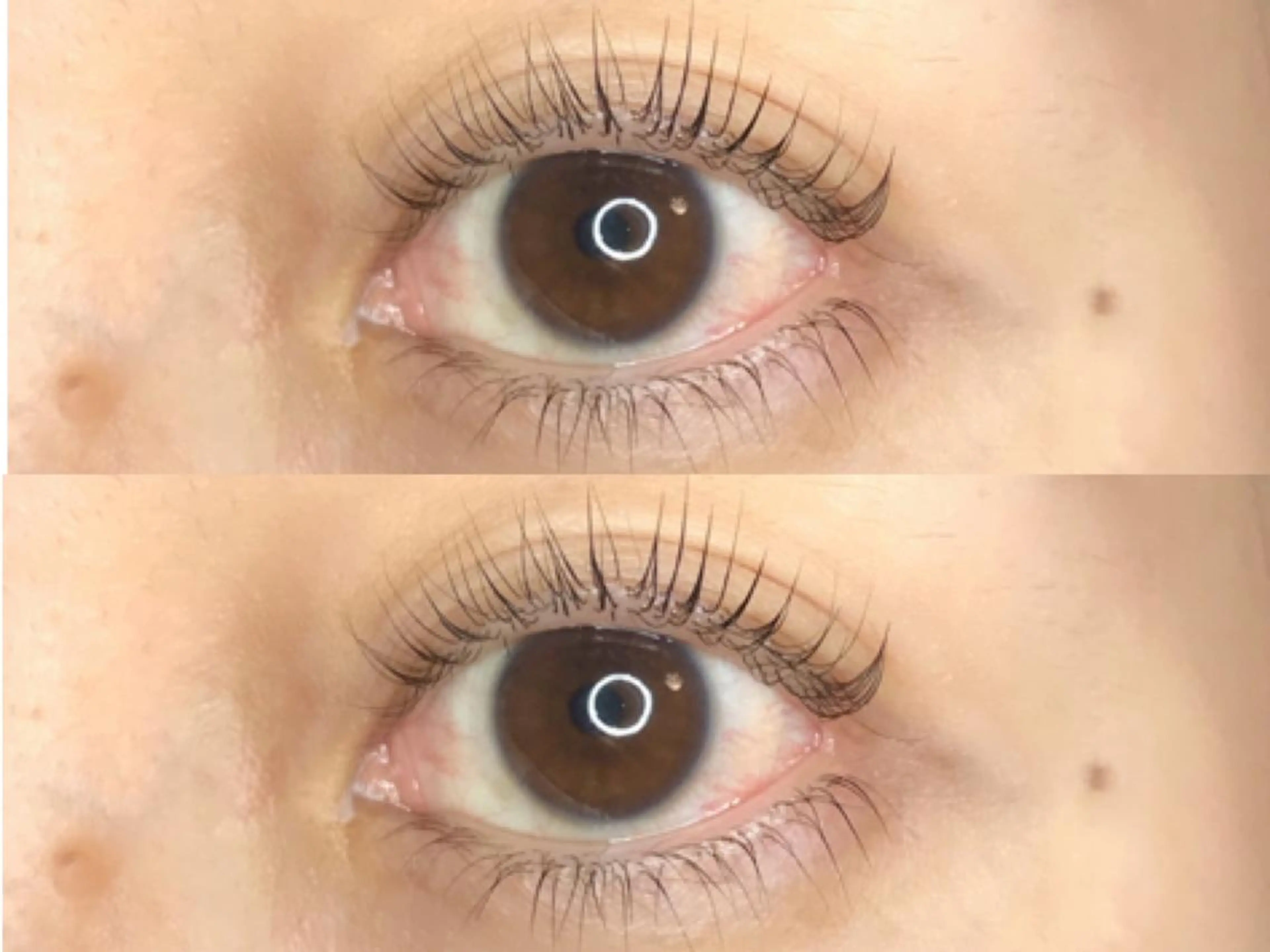 マツエク・マツパ マツパ 《eyelash ｉｉｔｅ》森のマツエク・マツパデザイン