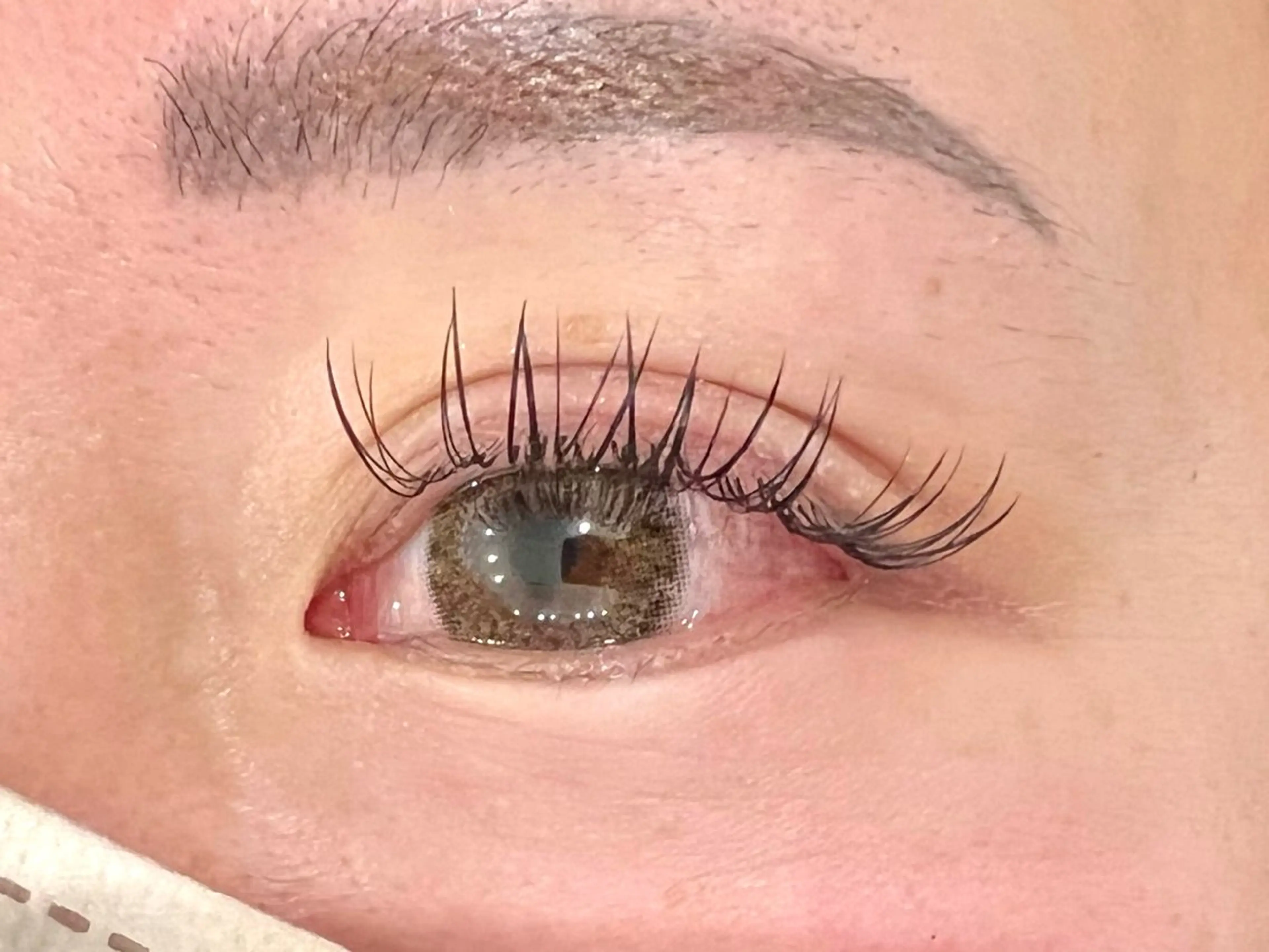 マツエク・マツパ NIKOR eyelashの眉毛・アイブロウイメージ