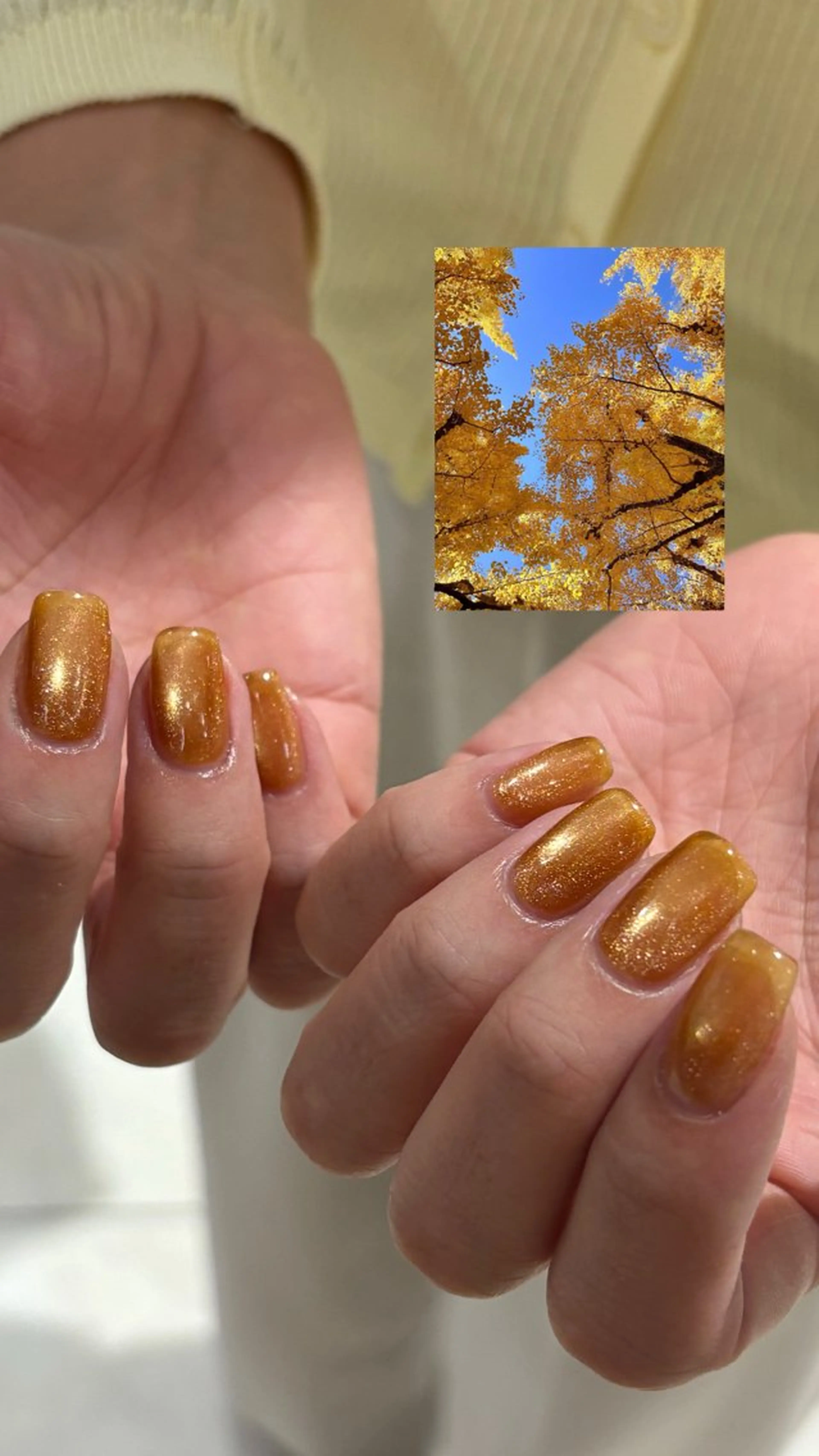 ネイル ハンドネイル premiere🍀 ozawaのネイルデザイン