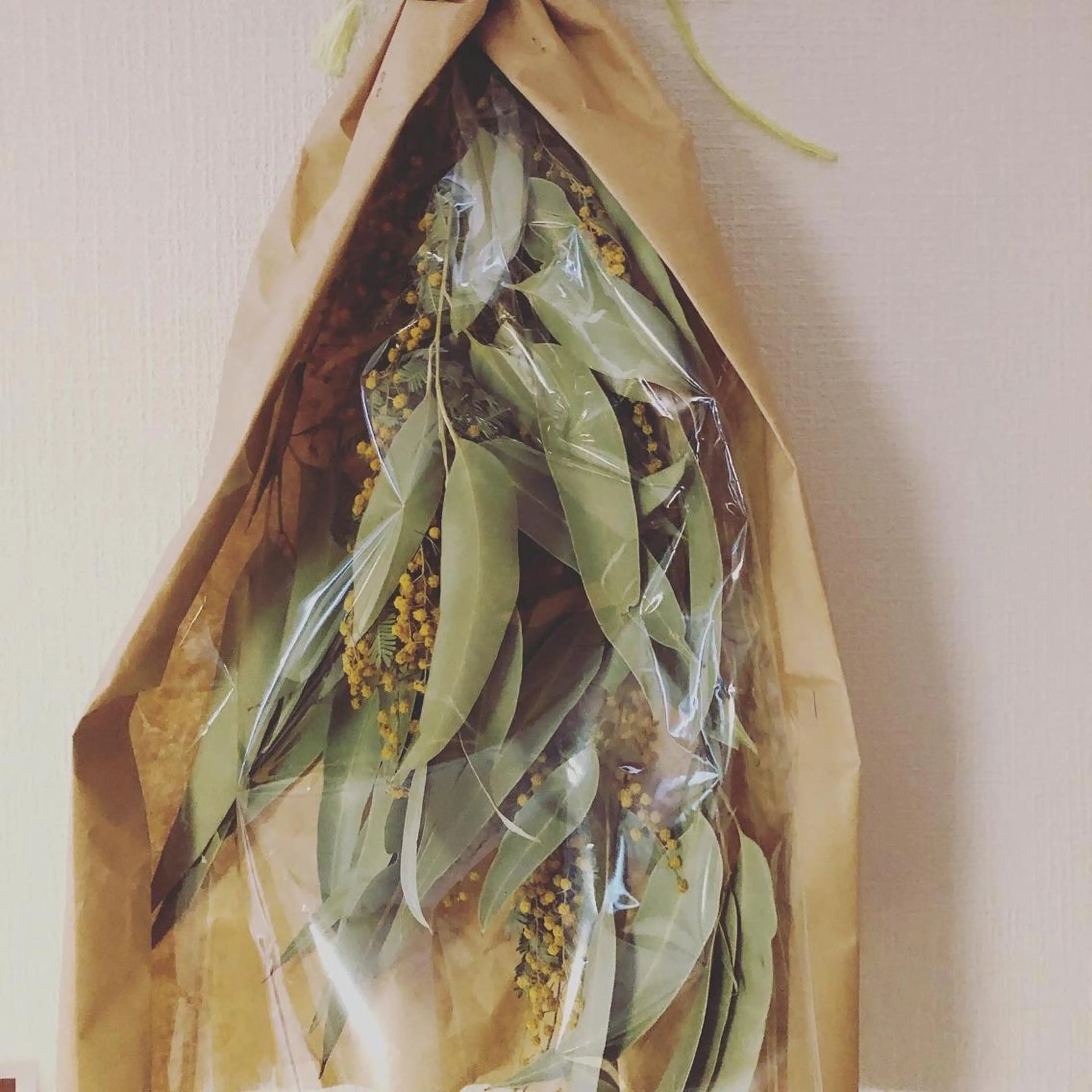 大西 知世のエステ・リラクイメージ