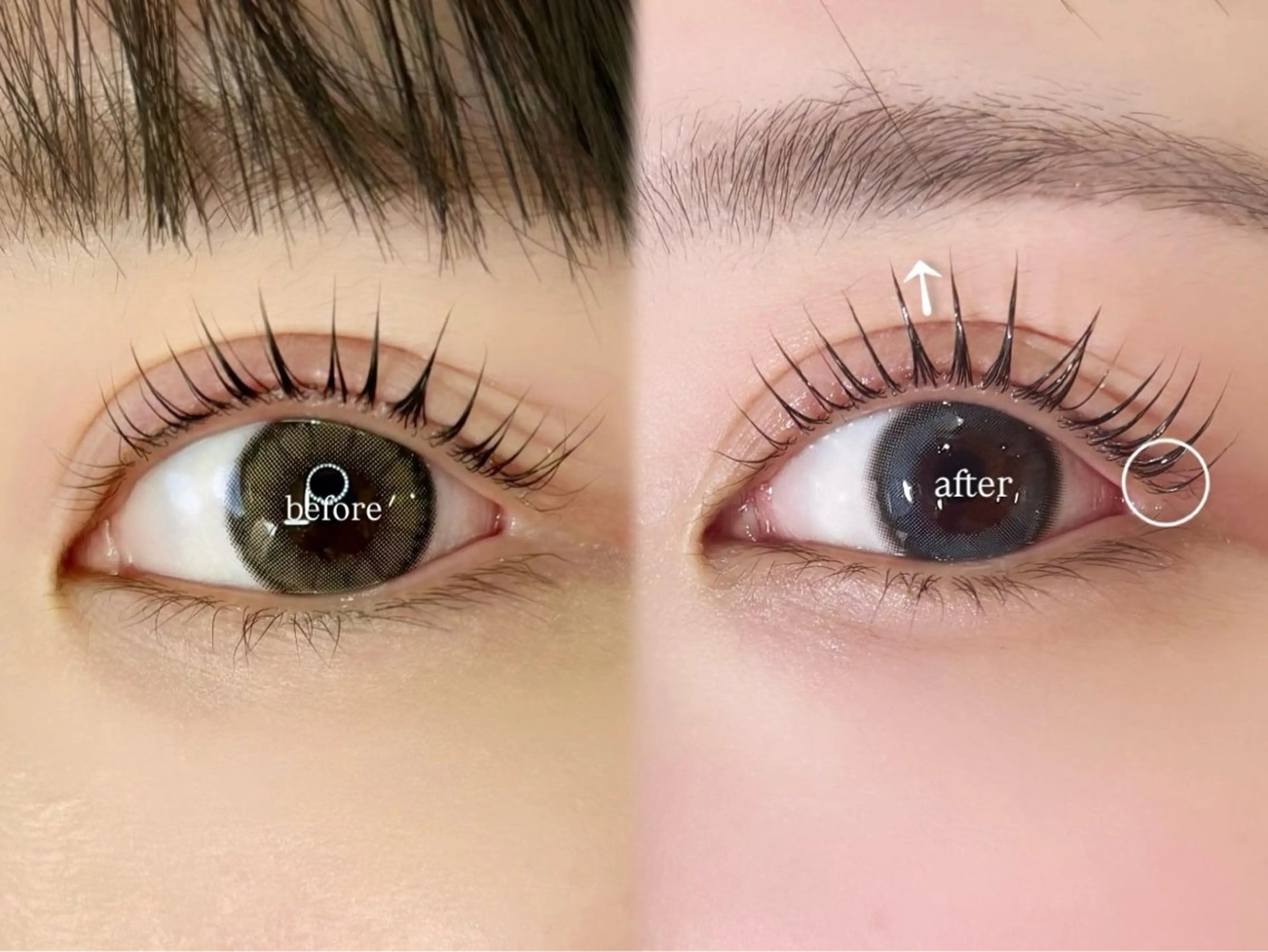 【最近技術】まつ毛が太く・長くなるパーマ¥9,900→6,600の写真