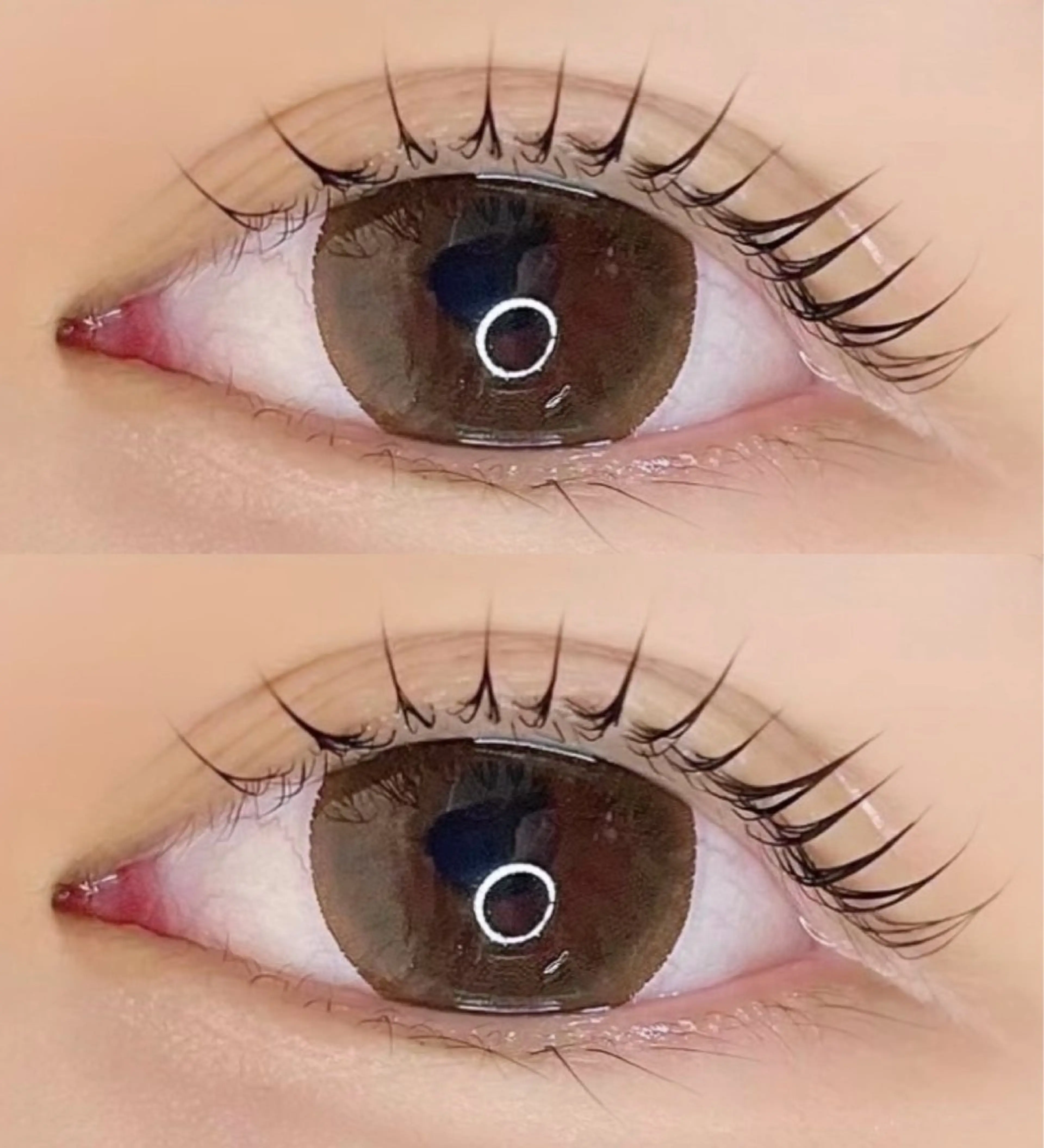 マツエク・マツパ まつげパーマ eve🐰束間まつ毛 /透明感カラーのマツエク・マツパデザイン