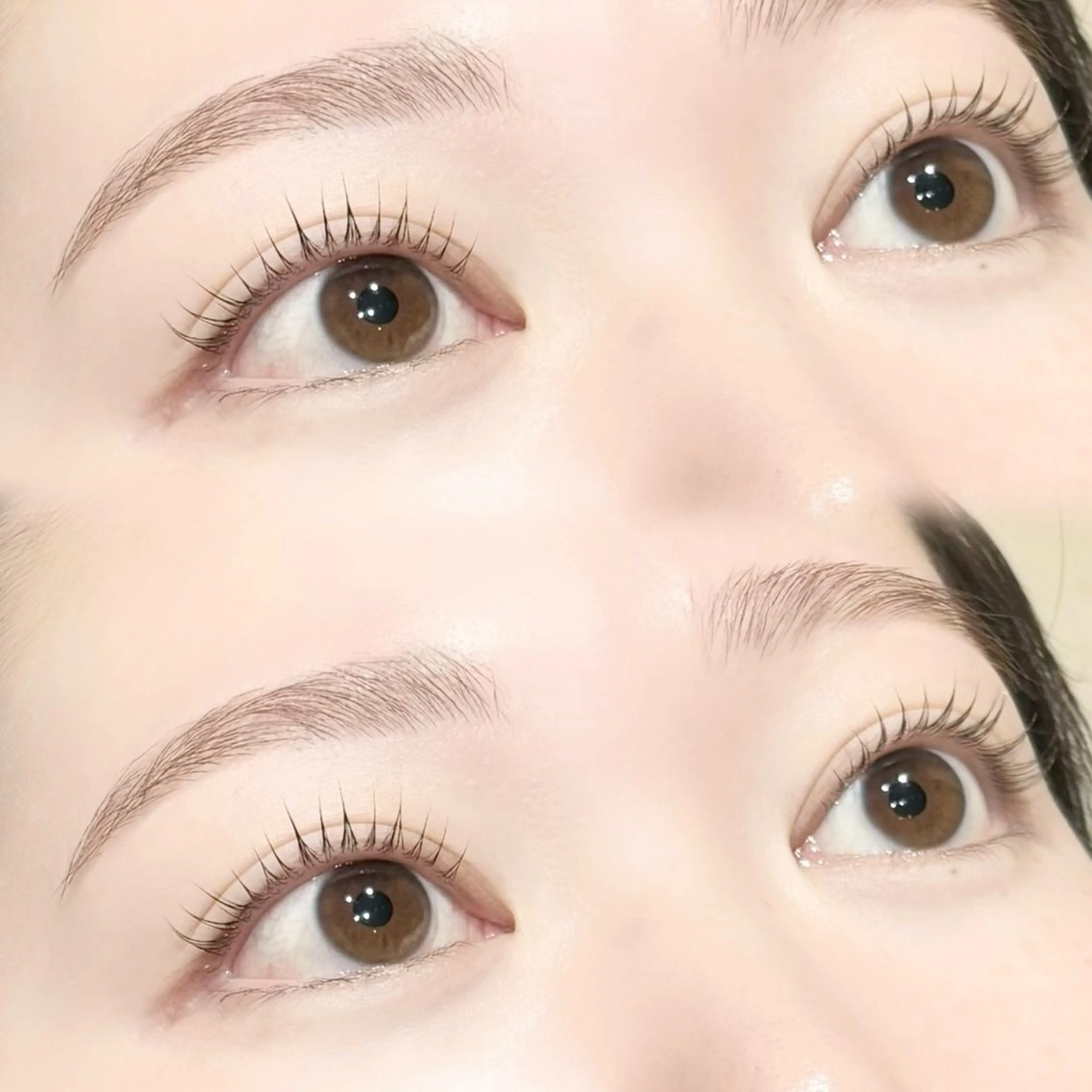 【当日限定】美眉styling+ラッシュリフト¥9,980→¥7,980の写真