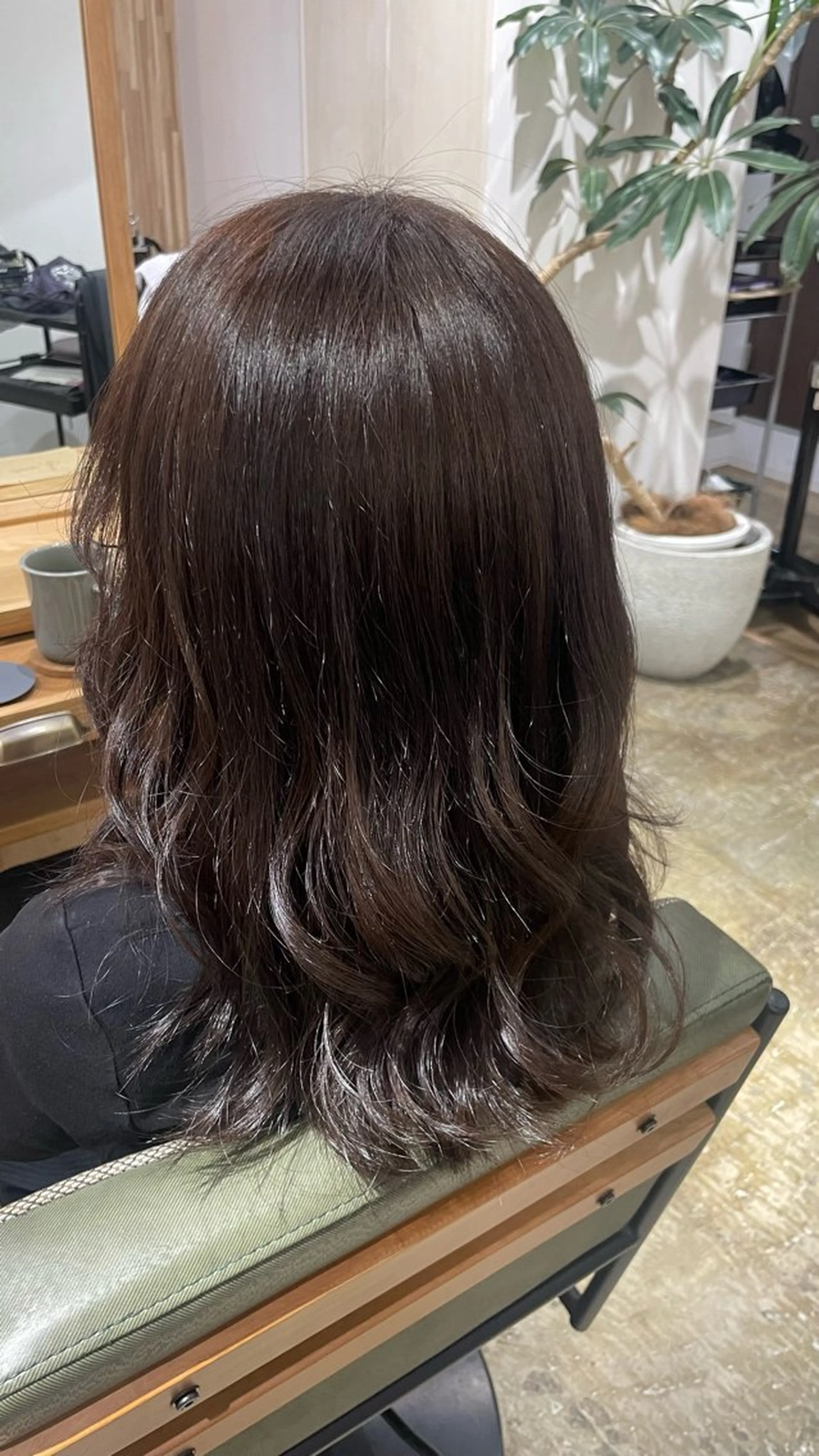 ミディアム 🖤Keina🖤 大人上品カラー.*˚のヘアスタイル