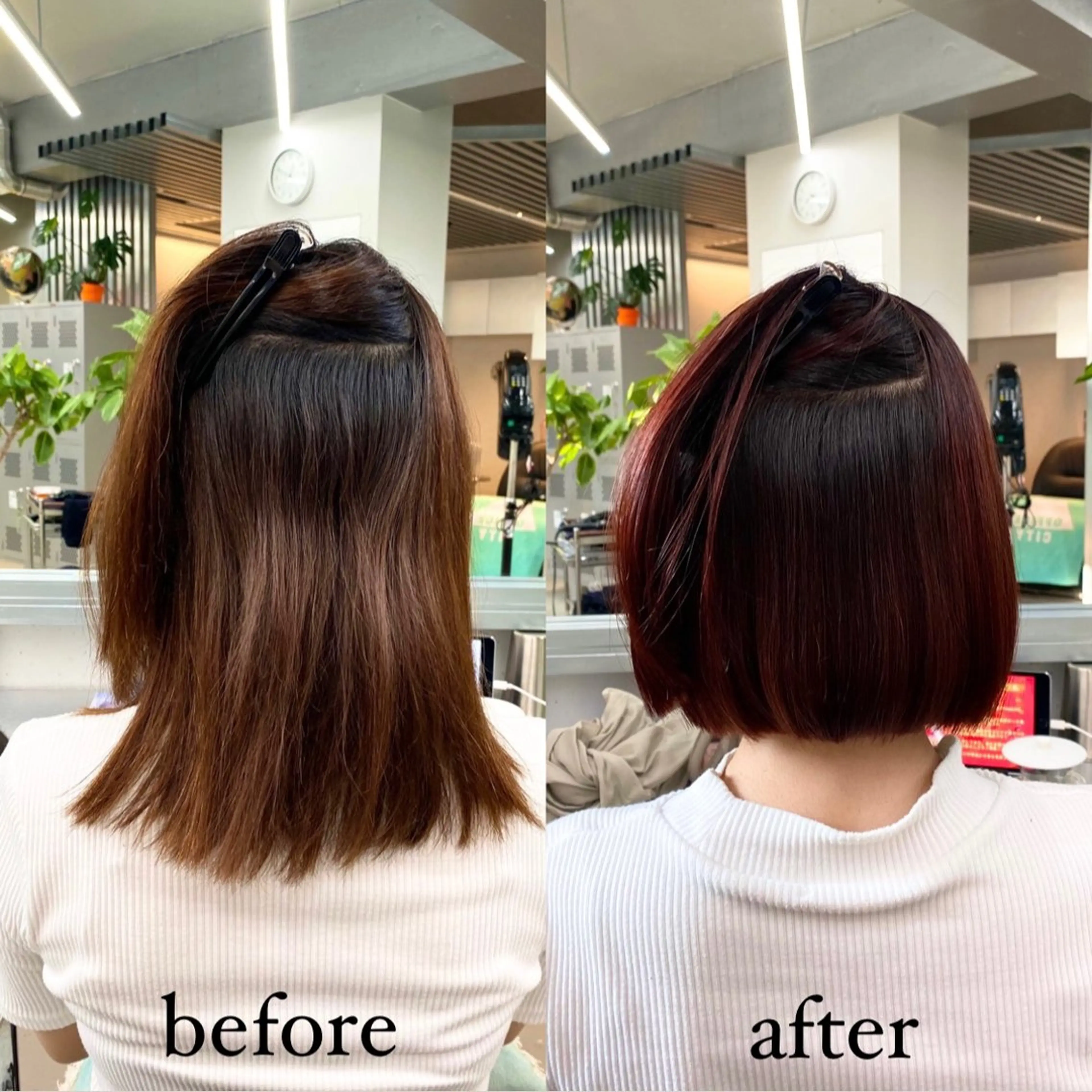 ミディアム カラー パーマ 切りっぱなしボブ レッドカラー ボブ 韓国風ヘア 酸性ストレート カット ヘアカラー 縮毛矯正 ✨髪質改善職人✨ デザインカラー/若林のヘアスタイル