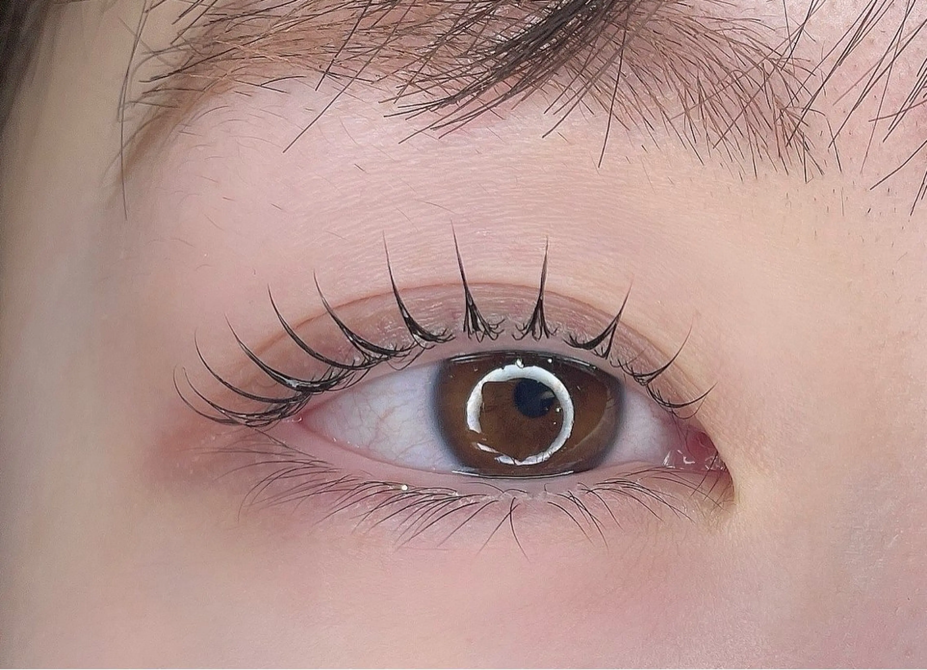 マツエク・マツパ JANIS EYELASH 白石の眉毛・アイブロウイメージ