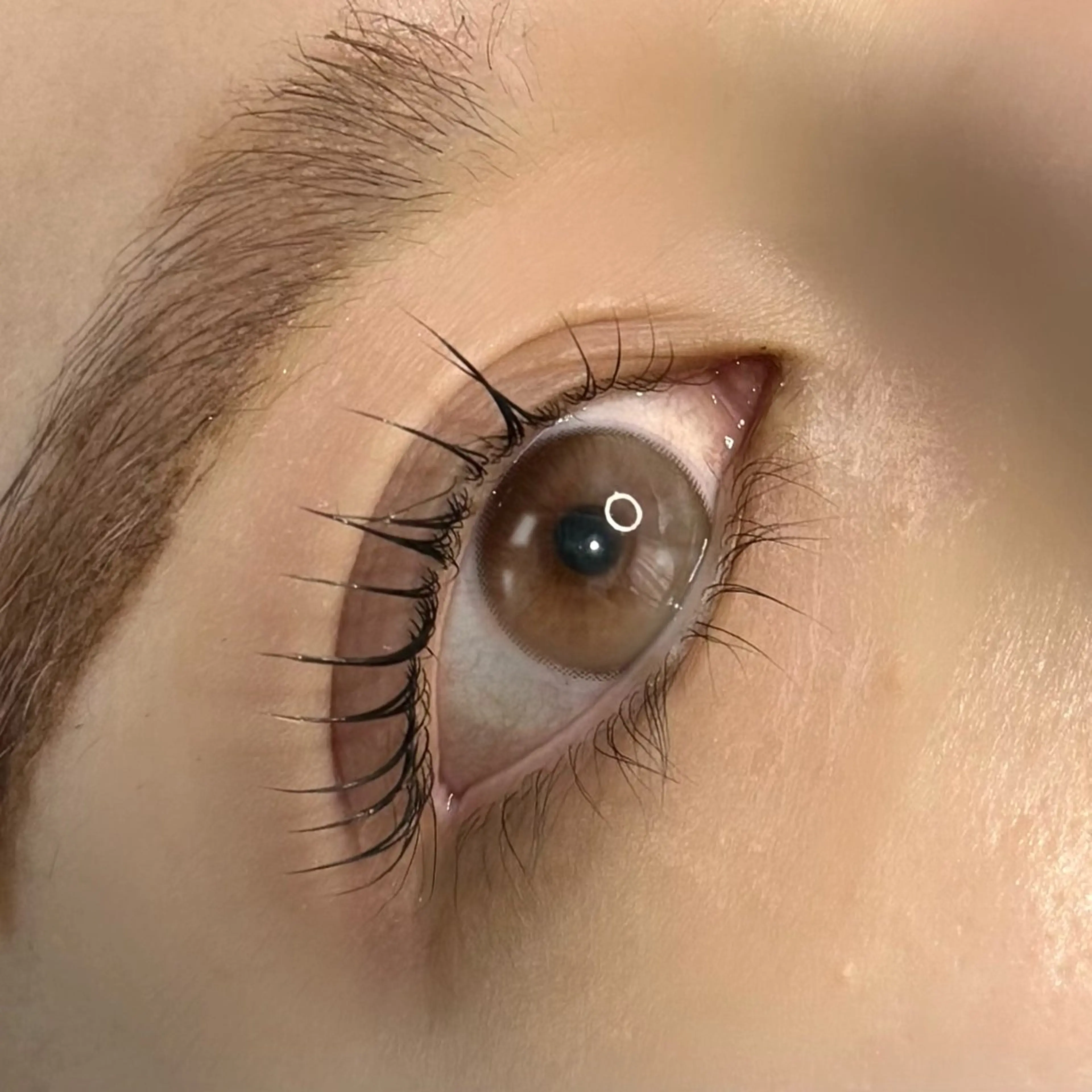 マツエク・マツパ フラットラッシュ パリジェンヌラッシュリフト まつげパーマ 下まつげエクステ 一重×まつ毛パーマ Kamie Yusaのマツエク・マツパデザイン