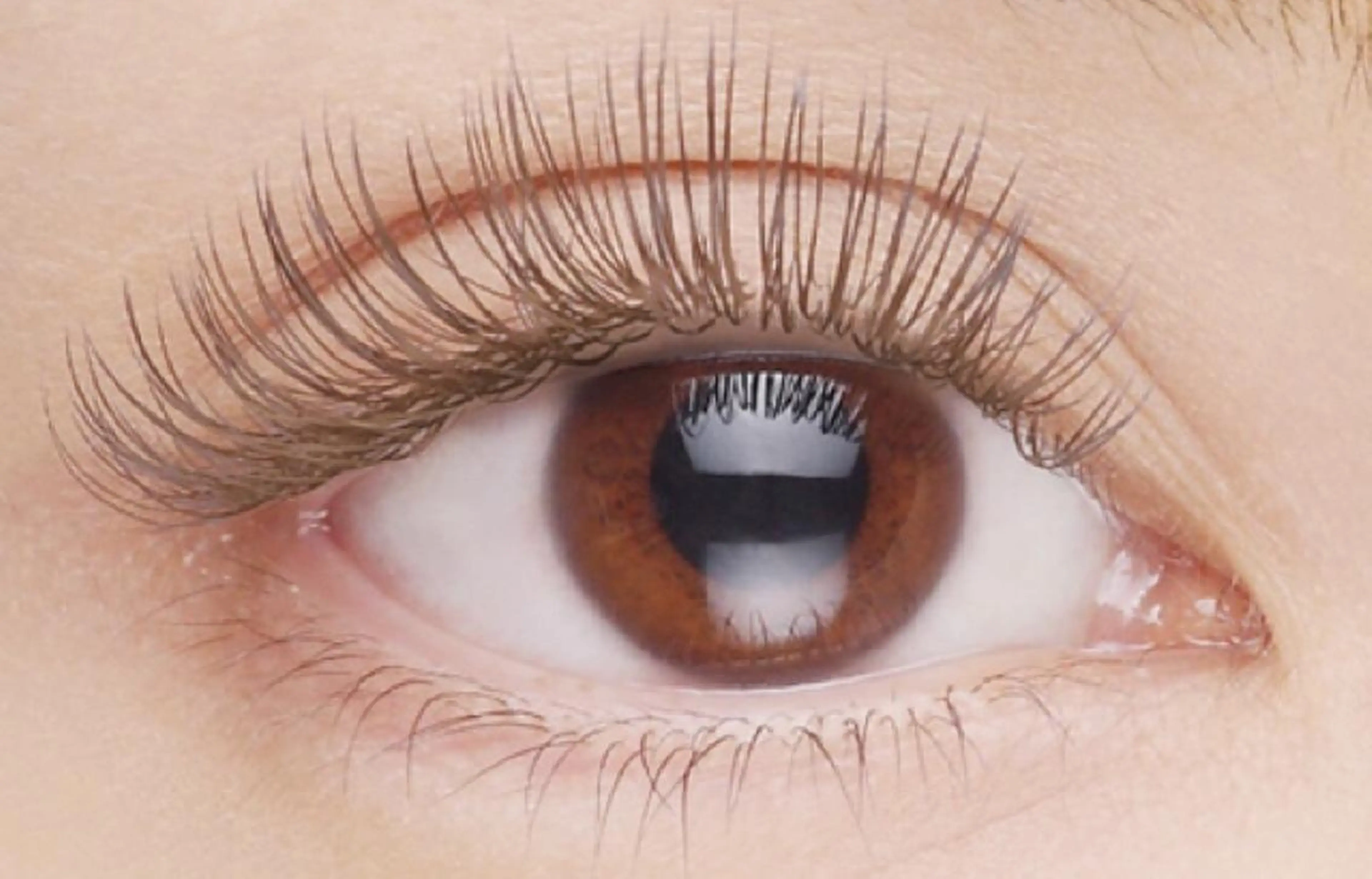 マツエク・マツパ カラーマツエク フラットラッシュ RoseLash【青山一丁目徒歩1分】表参道所属・パリジェンヌ/まつパ RoseLashのマツエク・マツパデザイン