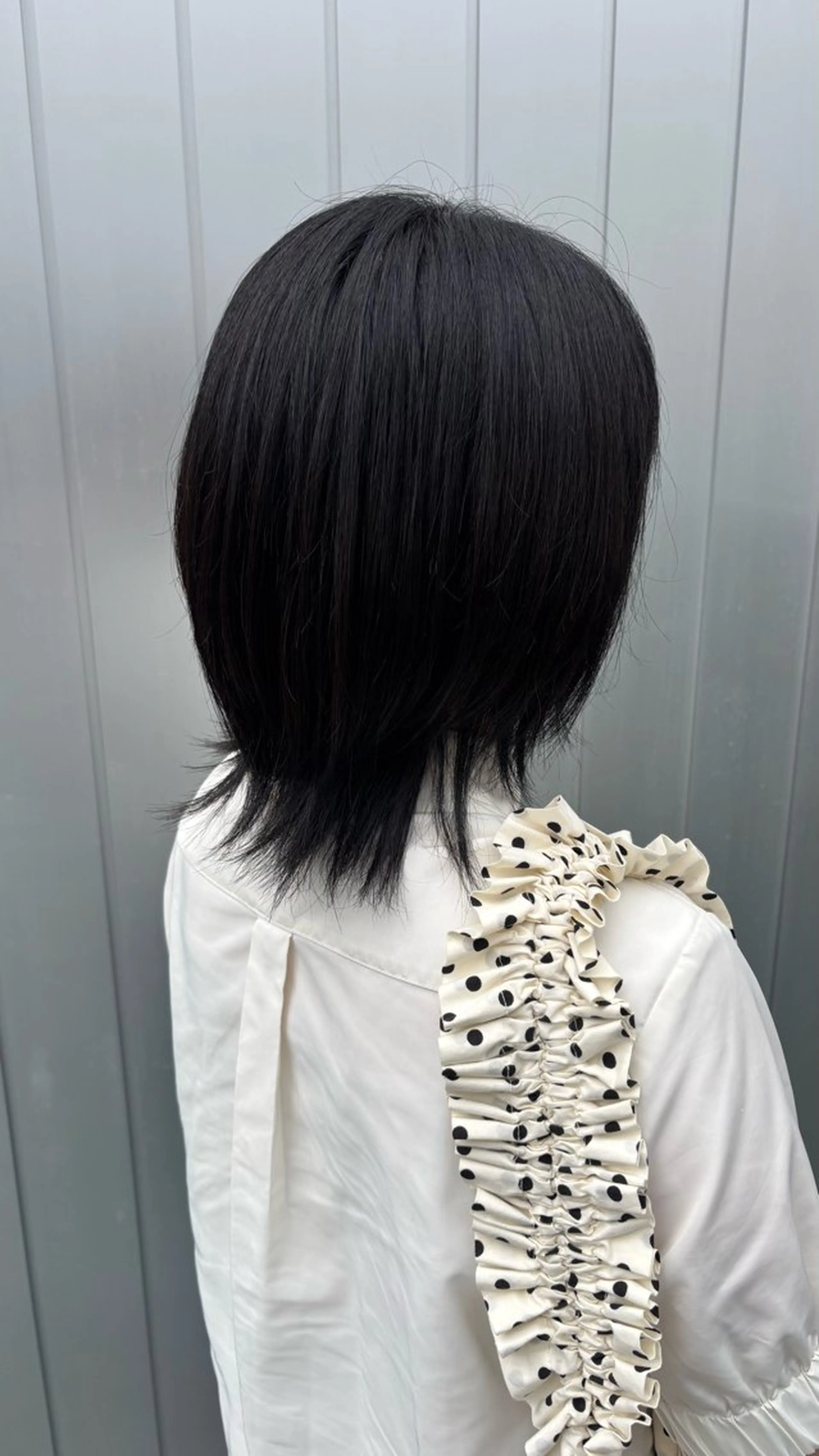 平日限定ワンカラーの写真