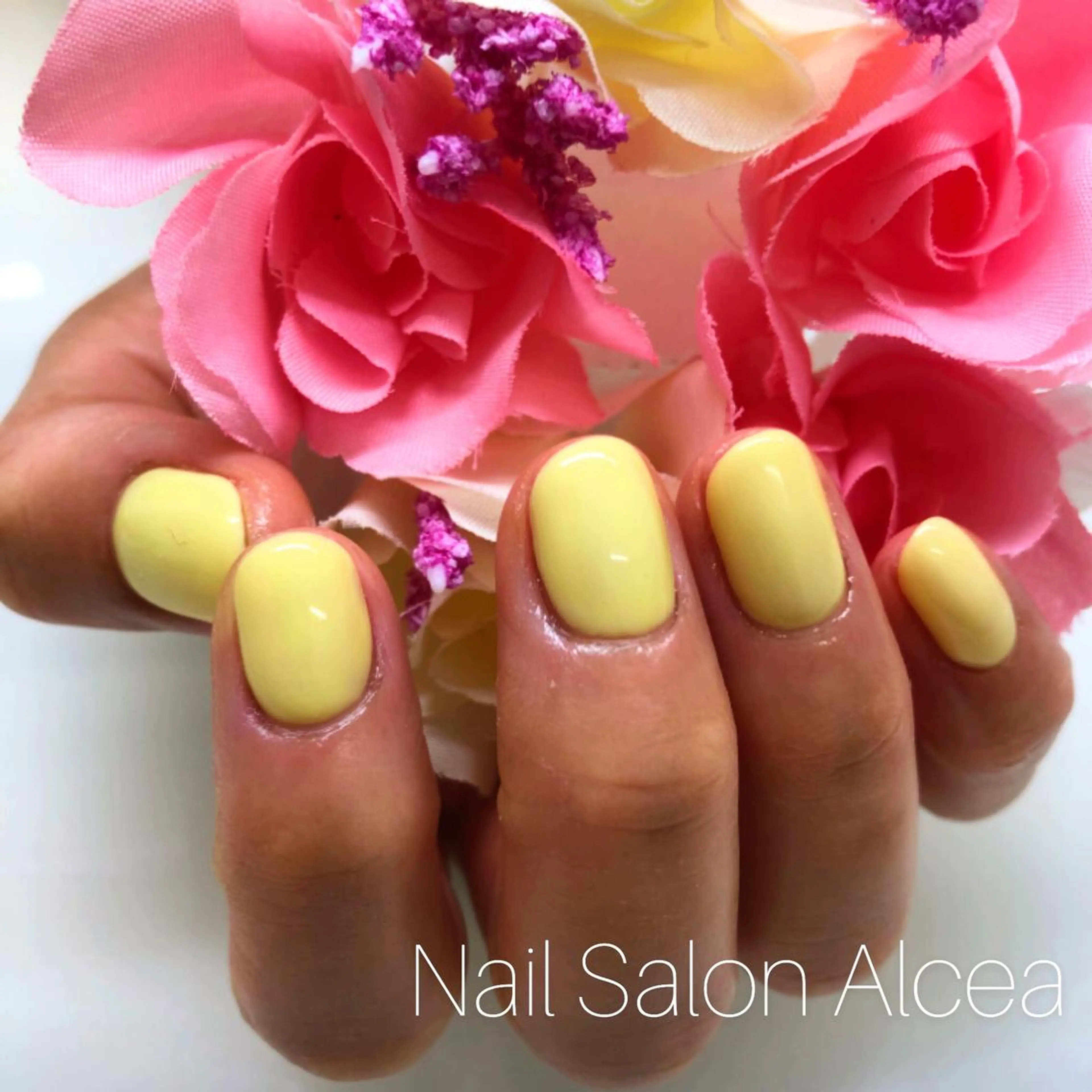 ネイル ワンカラーネイル CHILO 木村のネイルデザイン