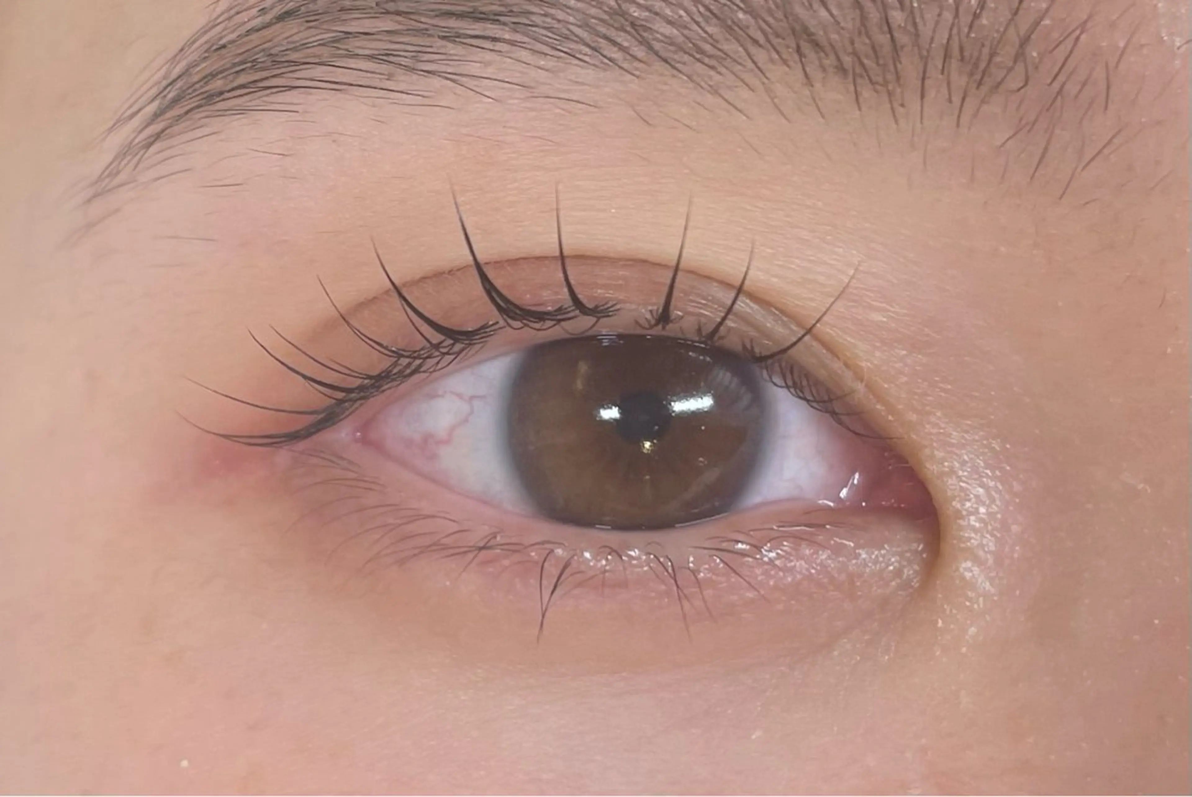 マツエク・マツパ eyelash salon　teraのマツエク・マツパデザイン