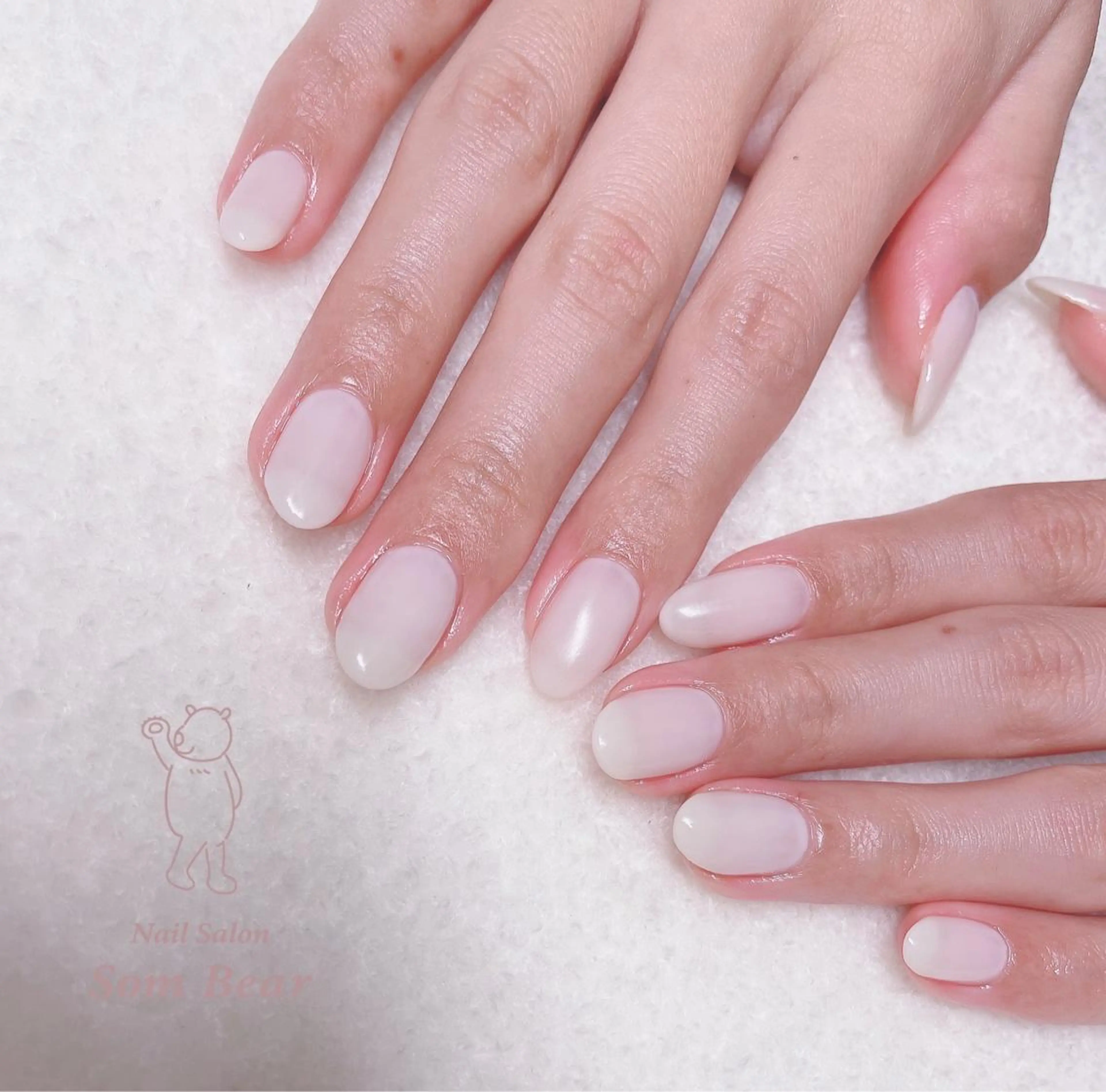 ネイル フレンチネイル ゴージャス グラデーション ワンカラーネイル Som Bear所属・nail salon Som Bear🧸のネイルデザイン