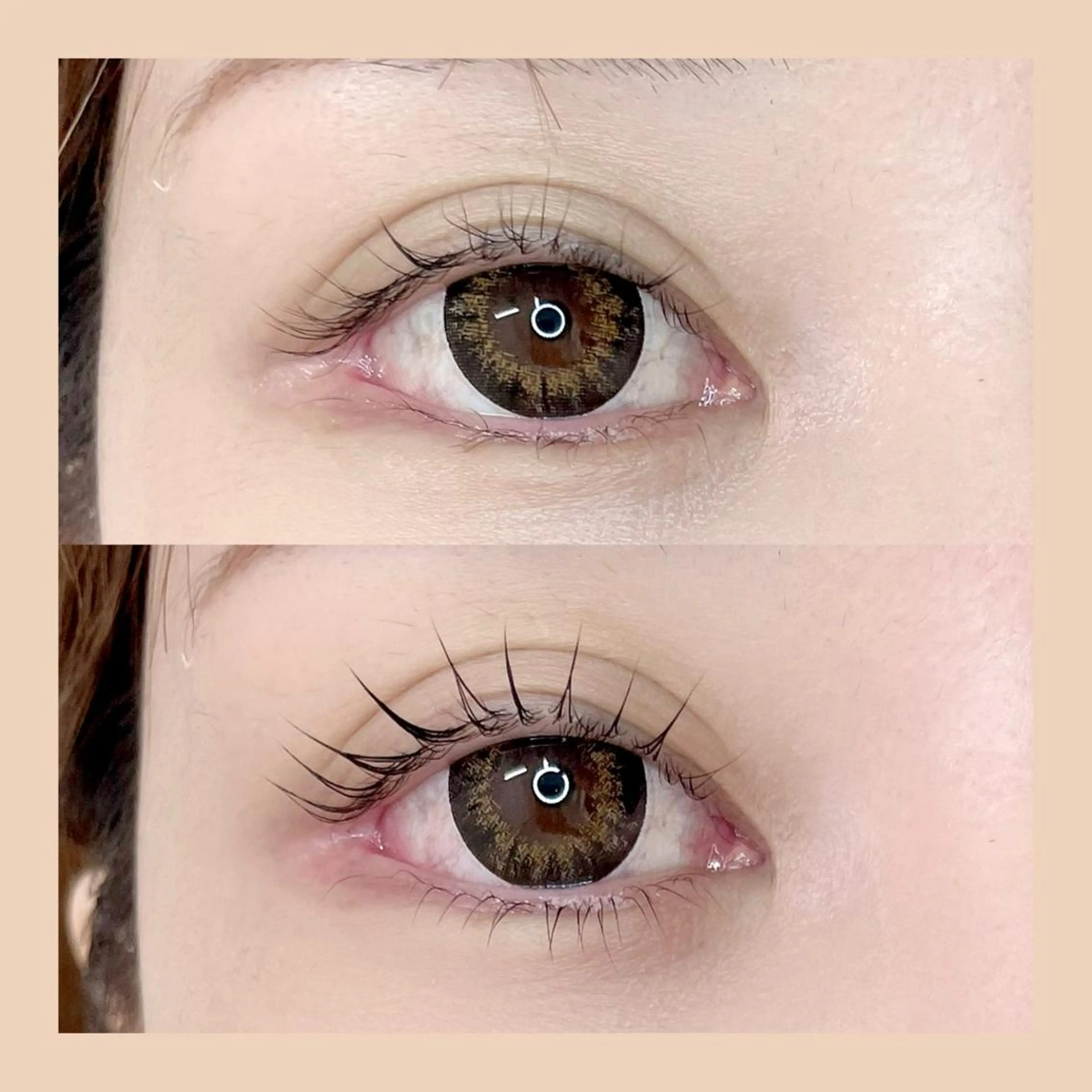 マツエク・マツパ 下まつげエクステ 一重×まつ毛パーマ マツパ SARA annex eyelashのマツエク・マツパデザイン