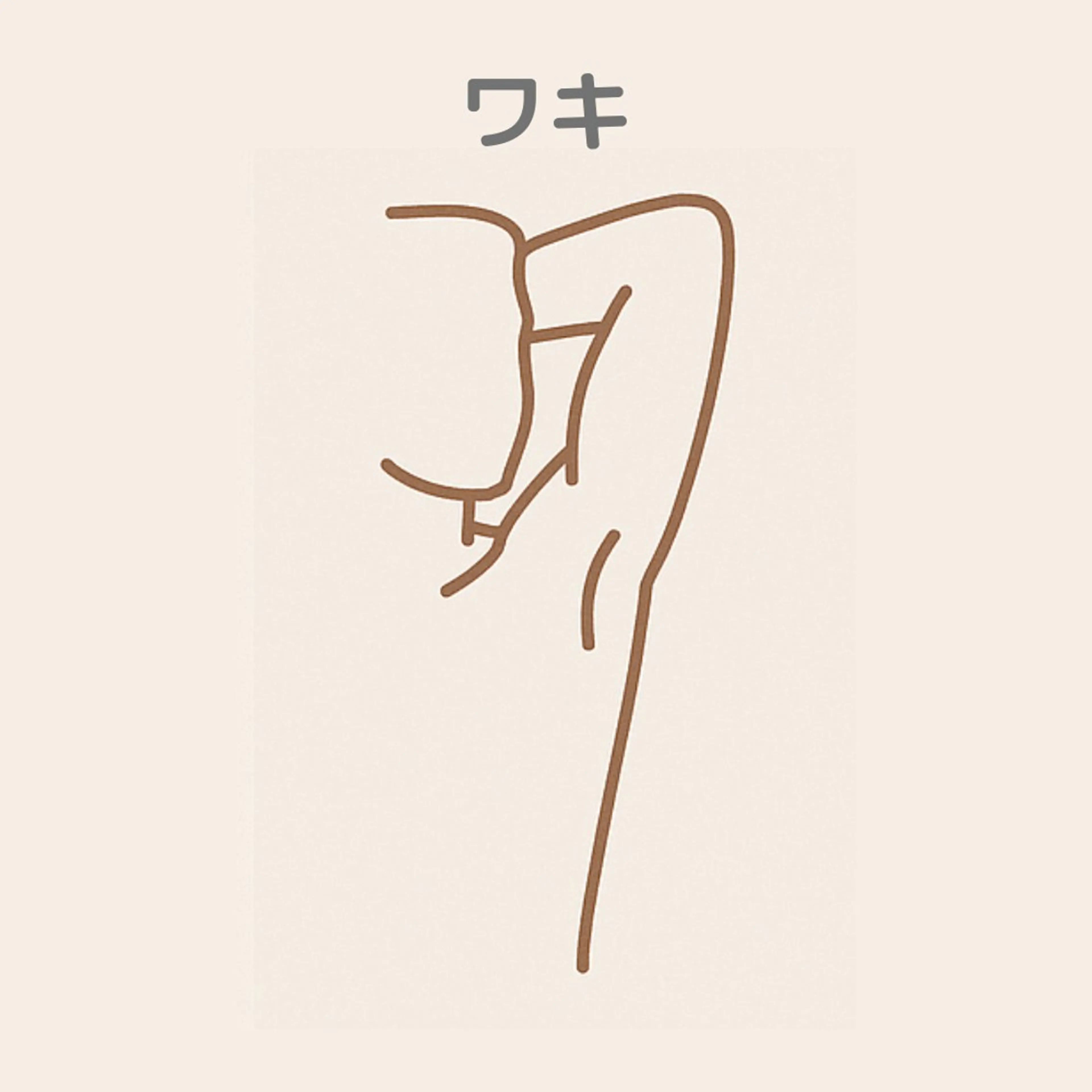 ワキ脱毛(左右)の写真