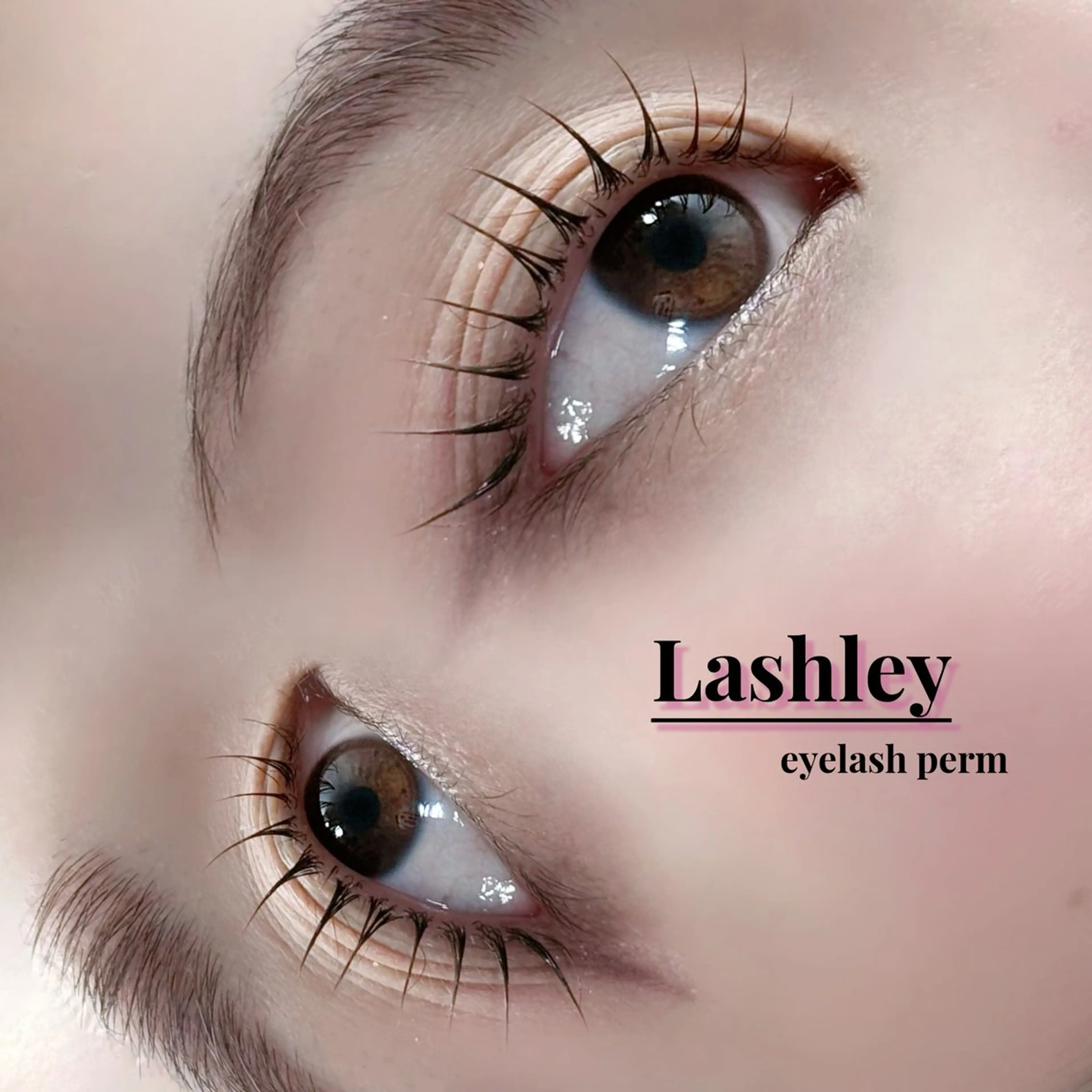 【まつ毛パーマ★立ち上げ×ストレート】ラシュリー¥3280の写真