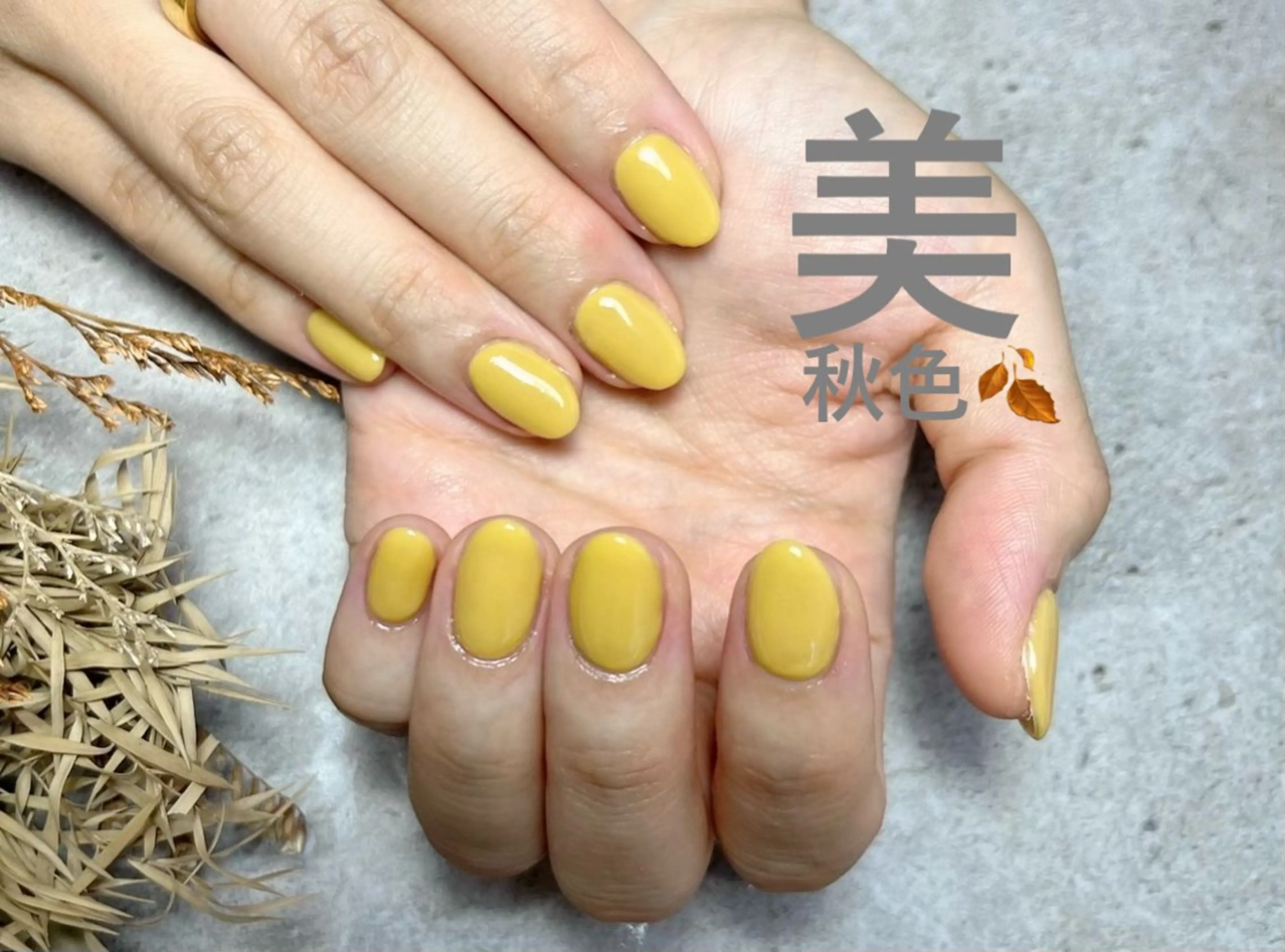 ネイル ジェルネイル パラジェル ♾nail 恵美のマツエク・マツパデザイン