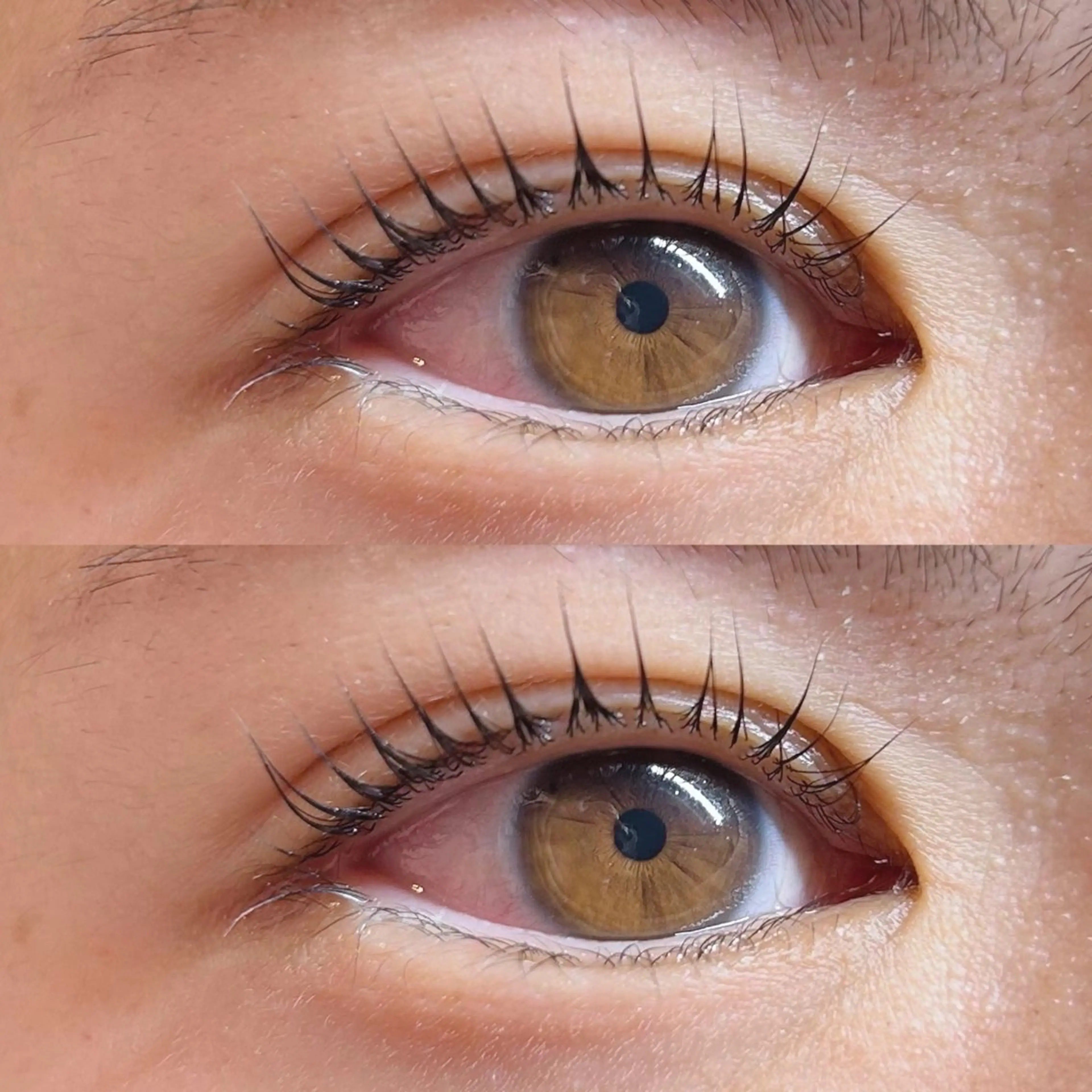 マツエク・マツパ マツパ Rise 🎀のマツエク・マツパデザイン