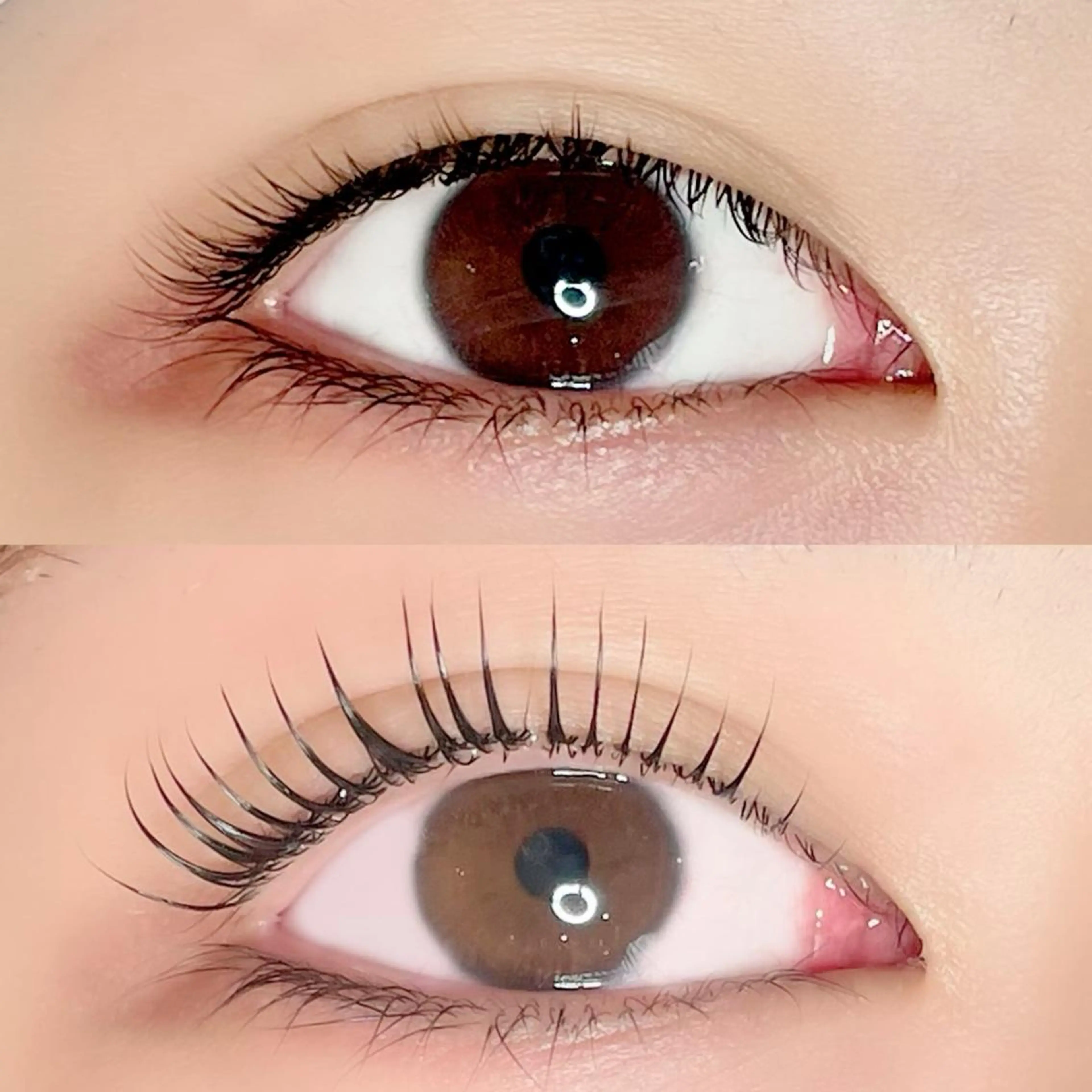 マツエク・マツパ マツパ AYLASH🧡 猪又のマツエク・マツパデザイン