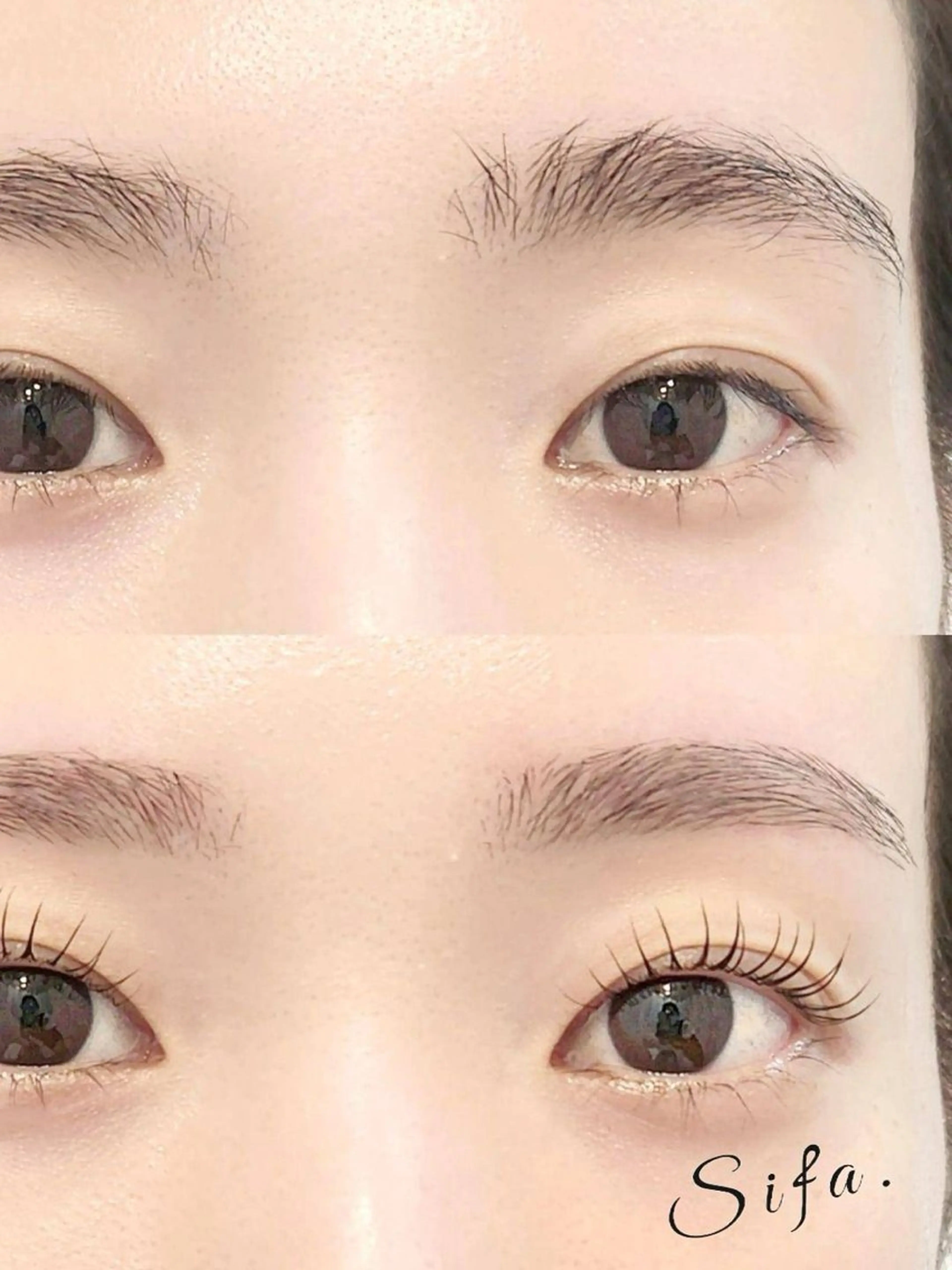 マツエク・マツパ まつげパーマ eyelash salon  Sifa所属・Sifa(シファ)2 0代向けまつげサロンのマツエク・マツパデザイン
