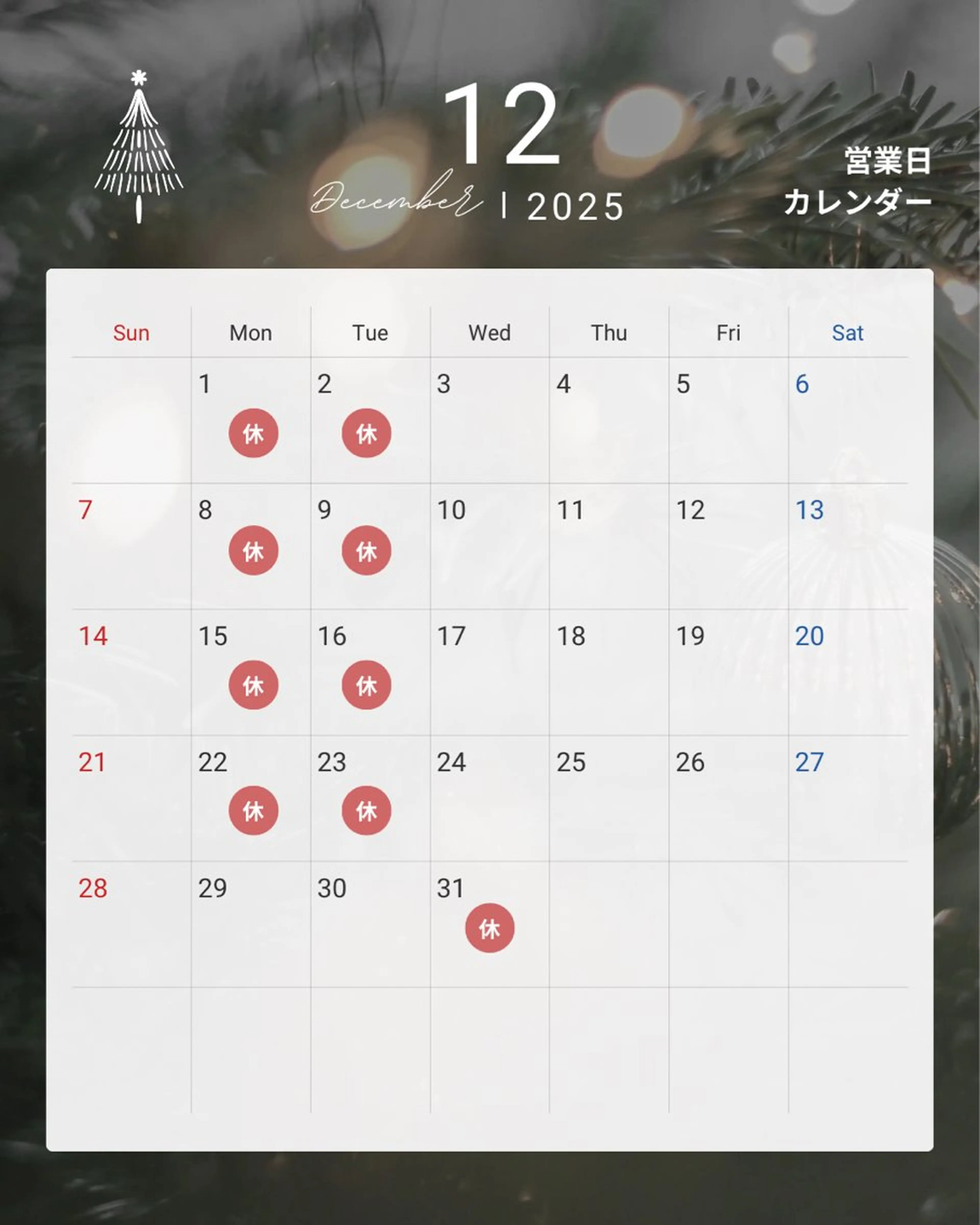 一宮　艶髪/スパ/ 白髪染め/中村紫乃のヘアスタイル
