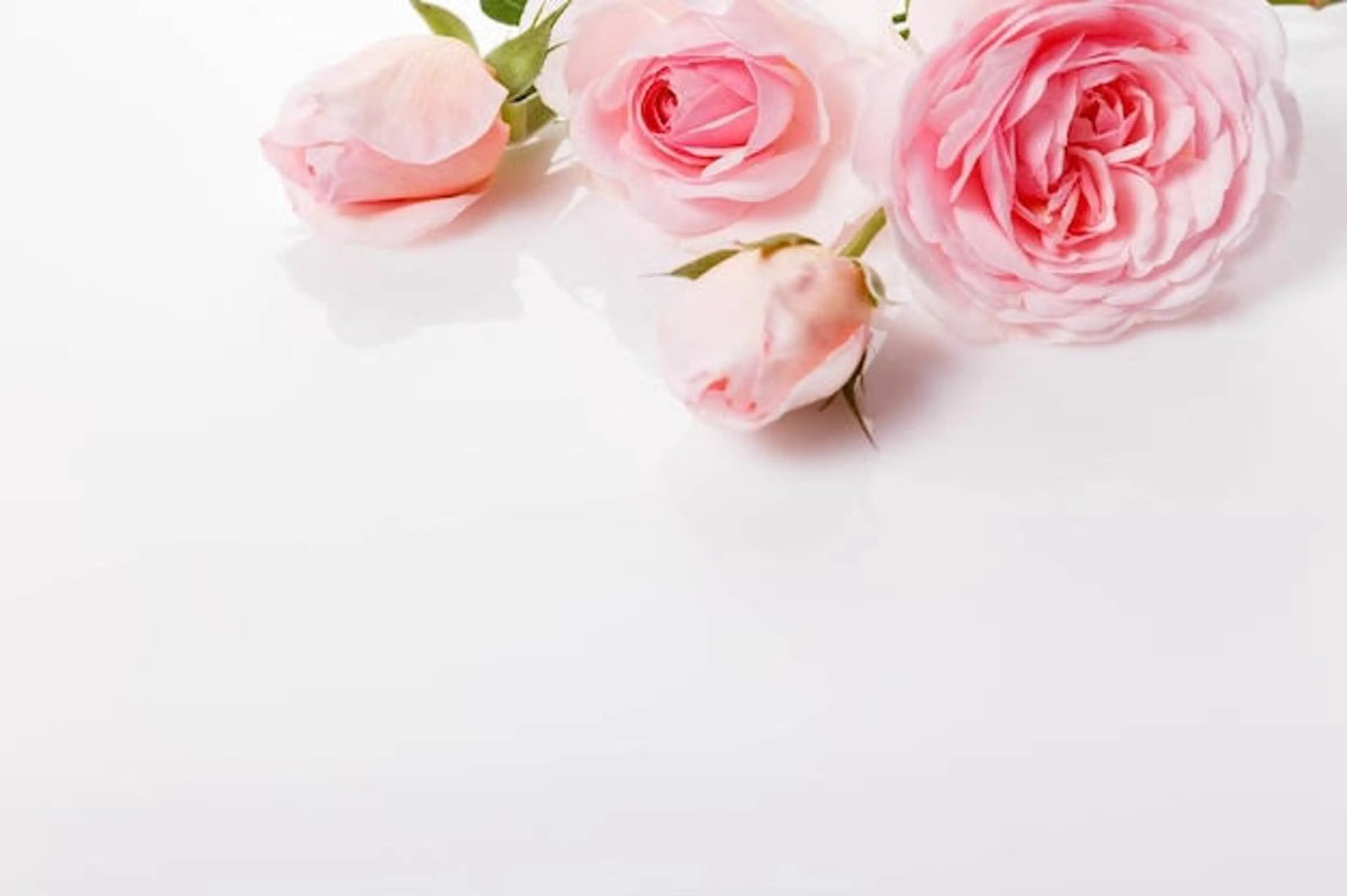 Jam〜nail&eyelash所属・🌸 Sakura JAMの眉毛・アイブロウイメージ