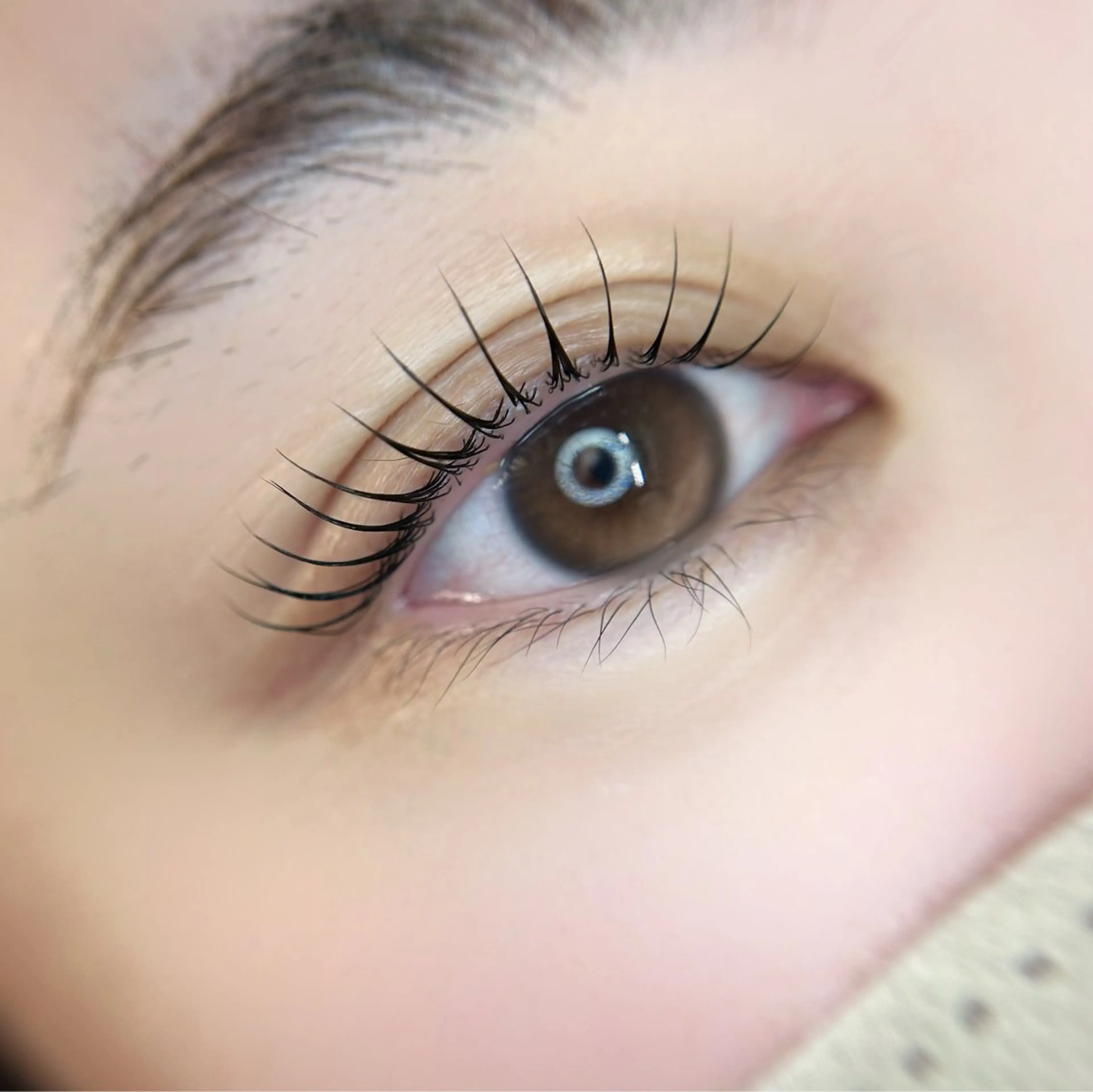 マツエク・マツパ eyelist. mizuki🐈⬛の眉毛・アイブロウイメージ