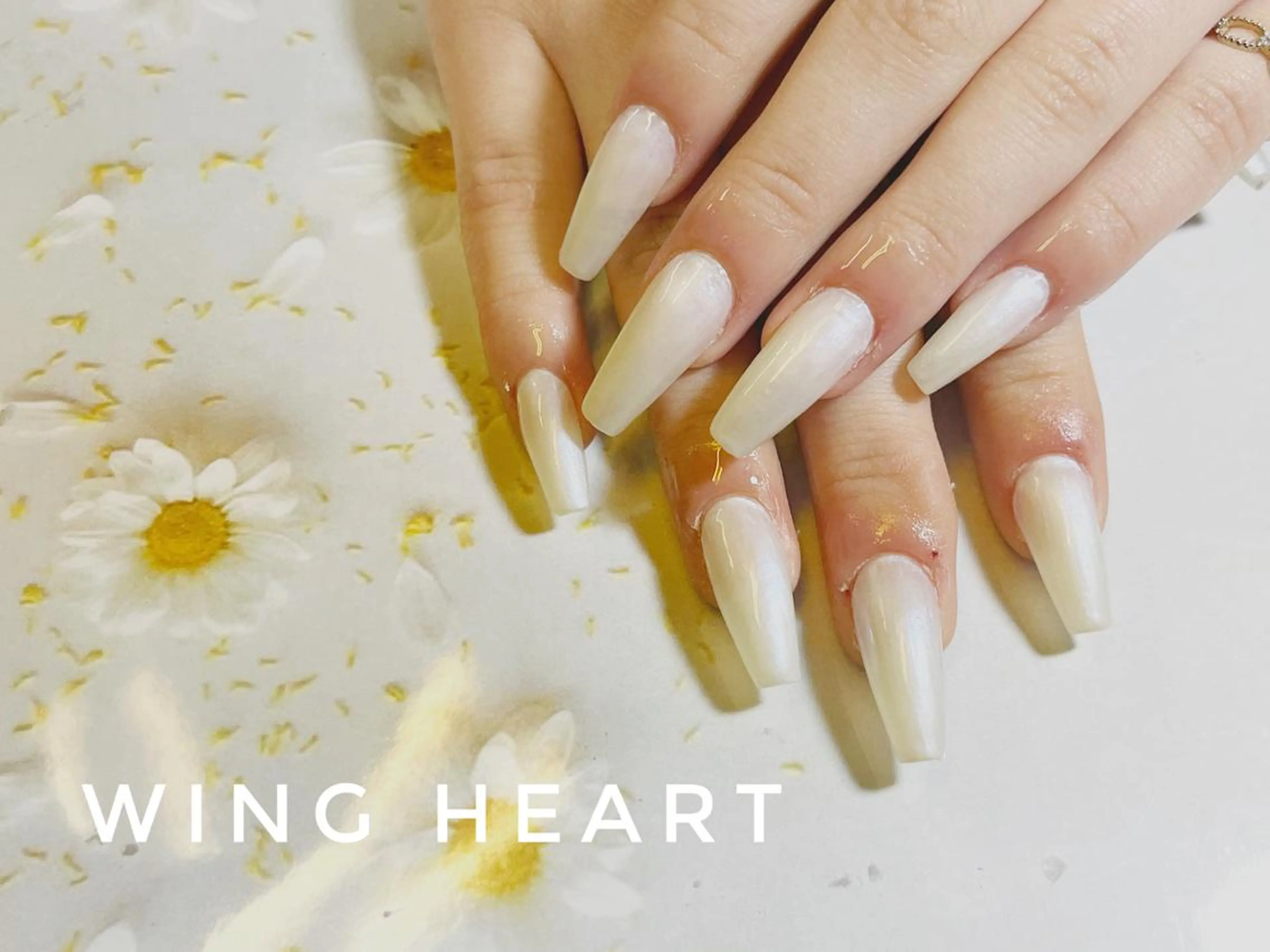 ロング ネイル ハンドネイル H NANAのネイルデザイン