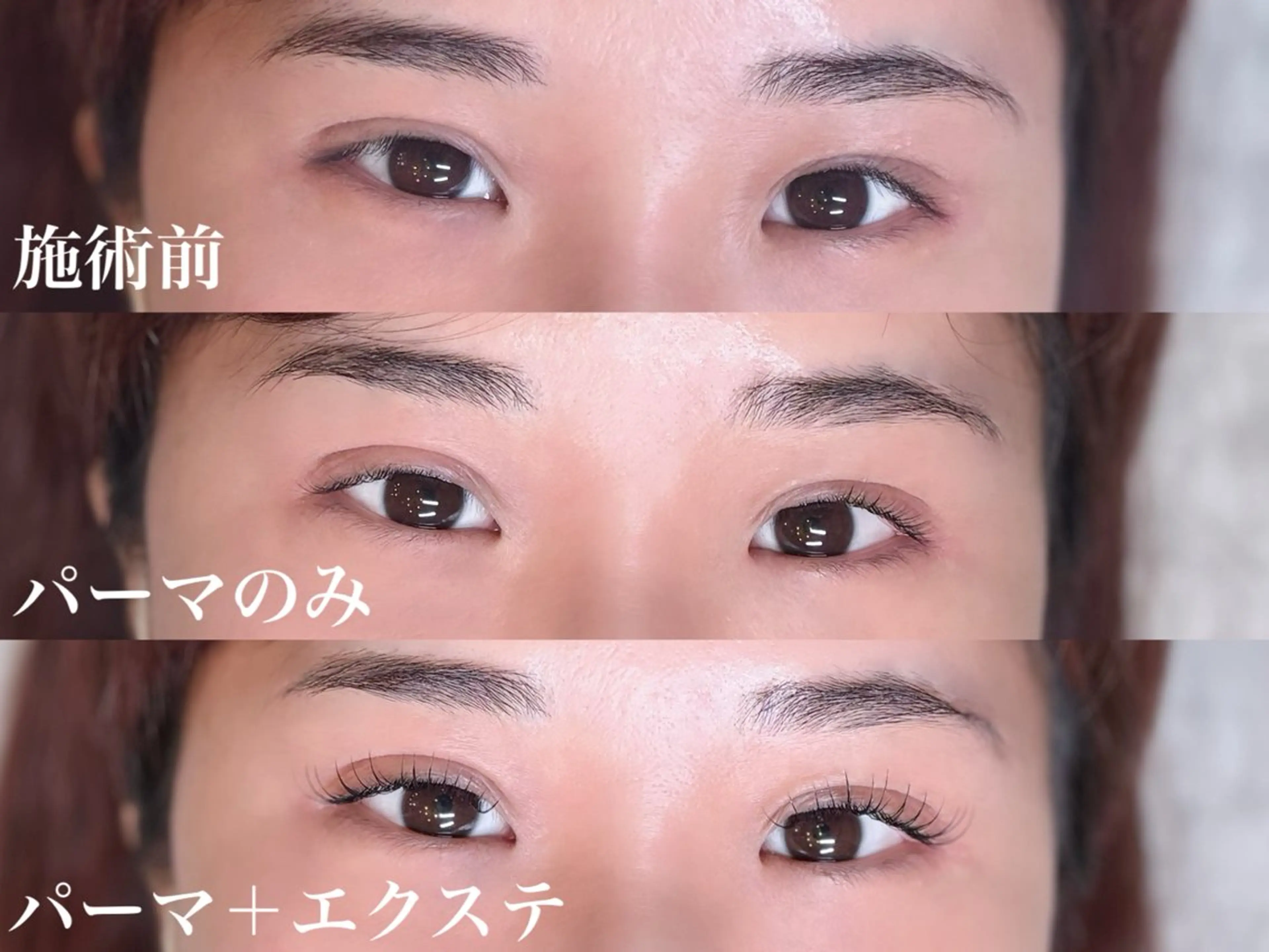 マツエク・マツパ eyelash Rebell Bee所属・目元撮影モデル 募集中のマツエク・マツパデザイン