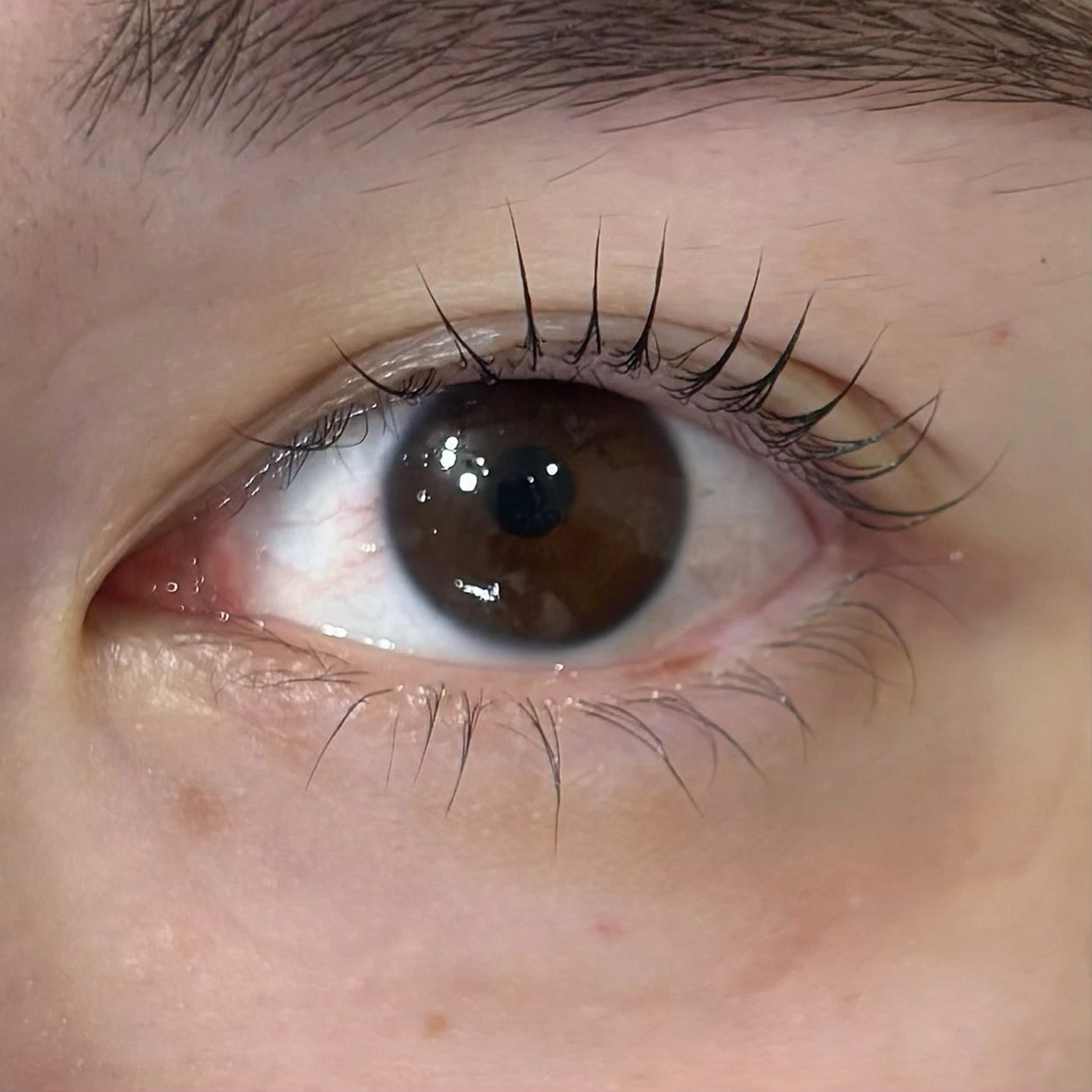 マツエク・マツパ マツパ BIANCA🤍🎀 OGAWAのマツエク・マツパデザイン