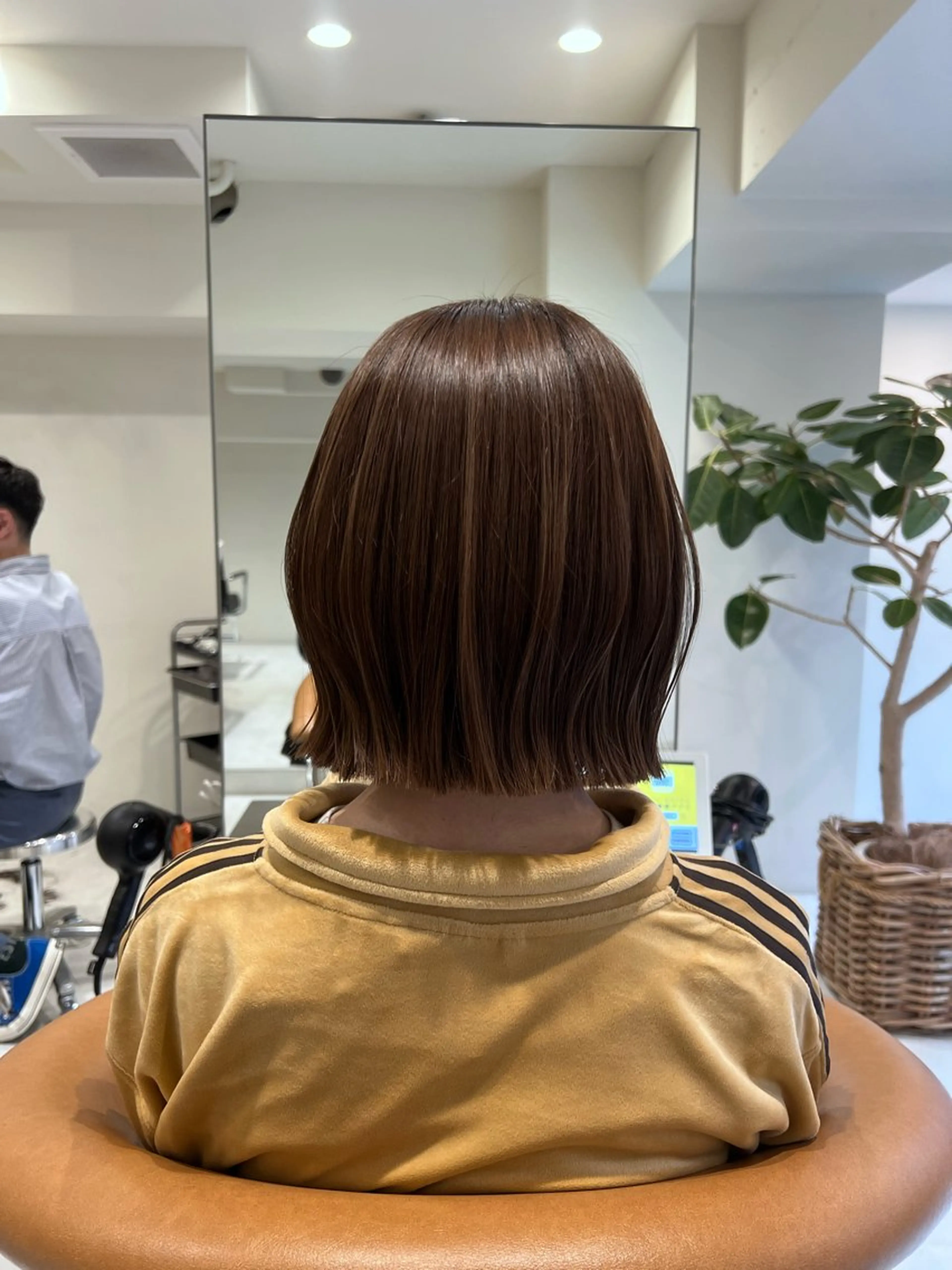ショート カラー ベージュカラー ブリーチ 透明感カラー ブリーチなしカラー ボブ ボブ/レイヤーカット /表参道 yunaのヘアスタイル