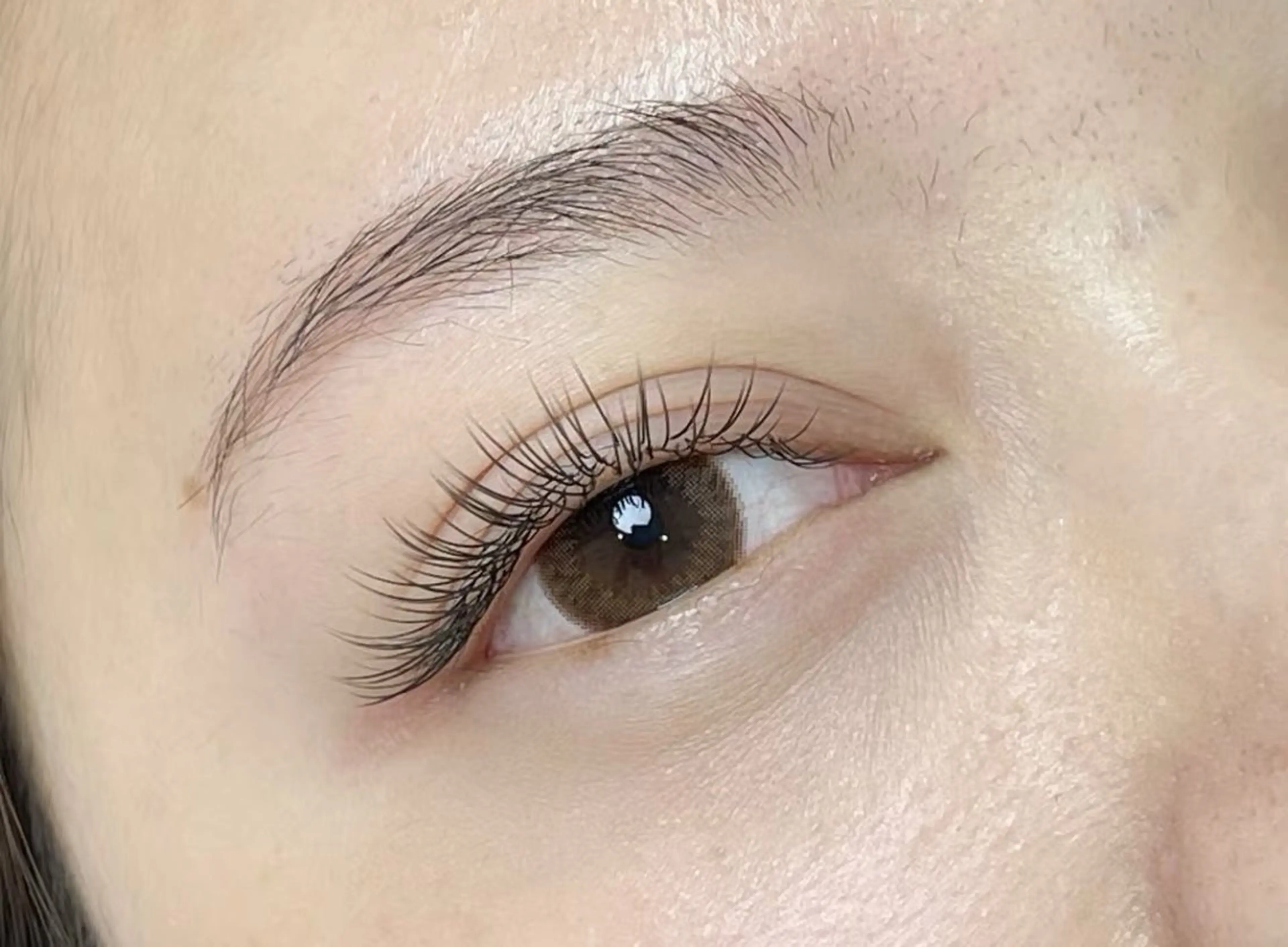 (オフ無料)フラットラッシュ100本の写真