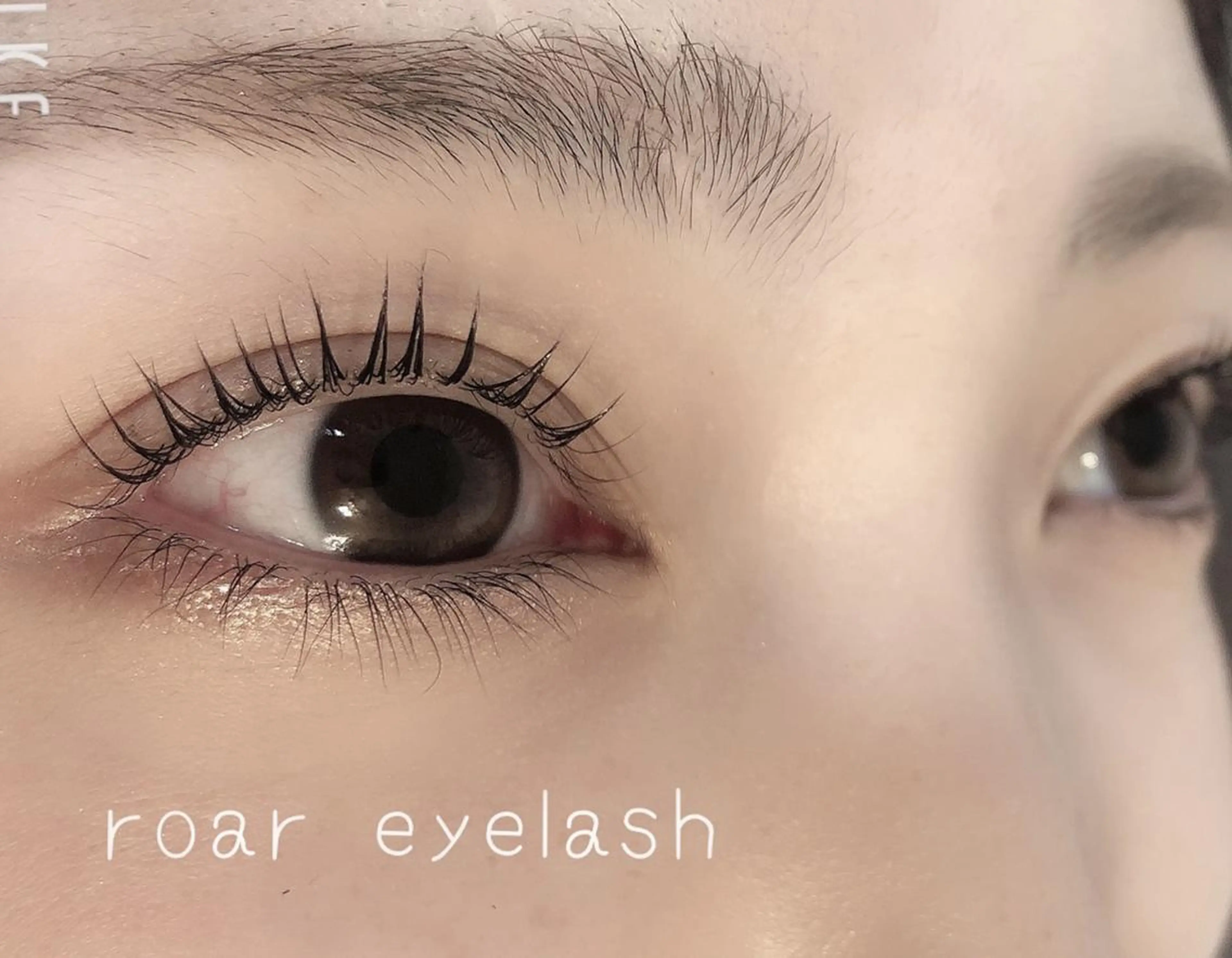 マツエク・マツパ ROAR🌹 eyelashのマツエク・マツパデザイン