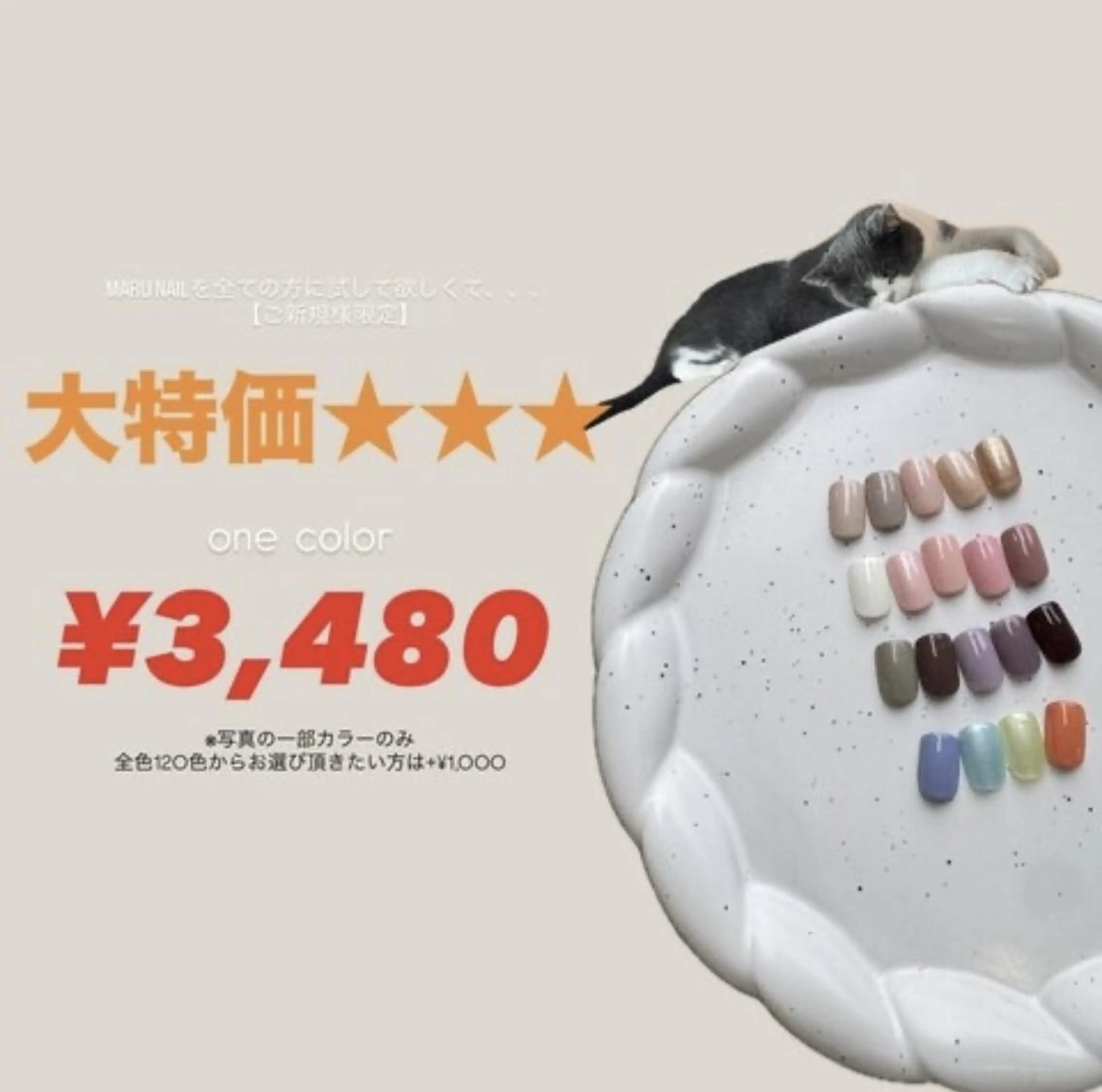 【ご新規様限定】【オフなし】HAND★ワンカラー ¥3,480の写真