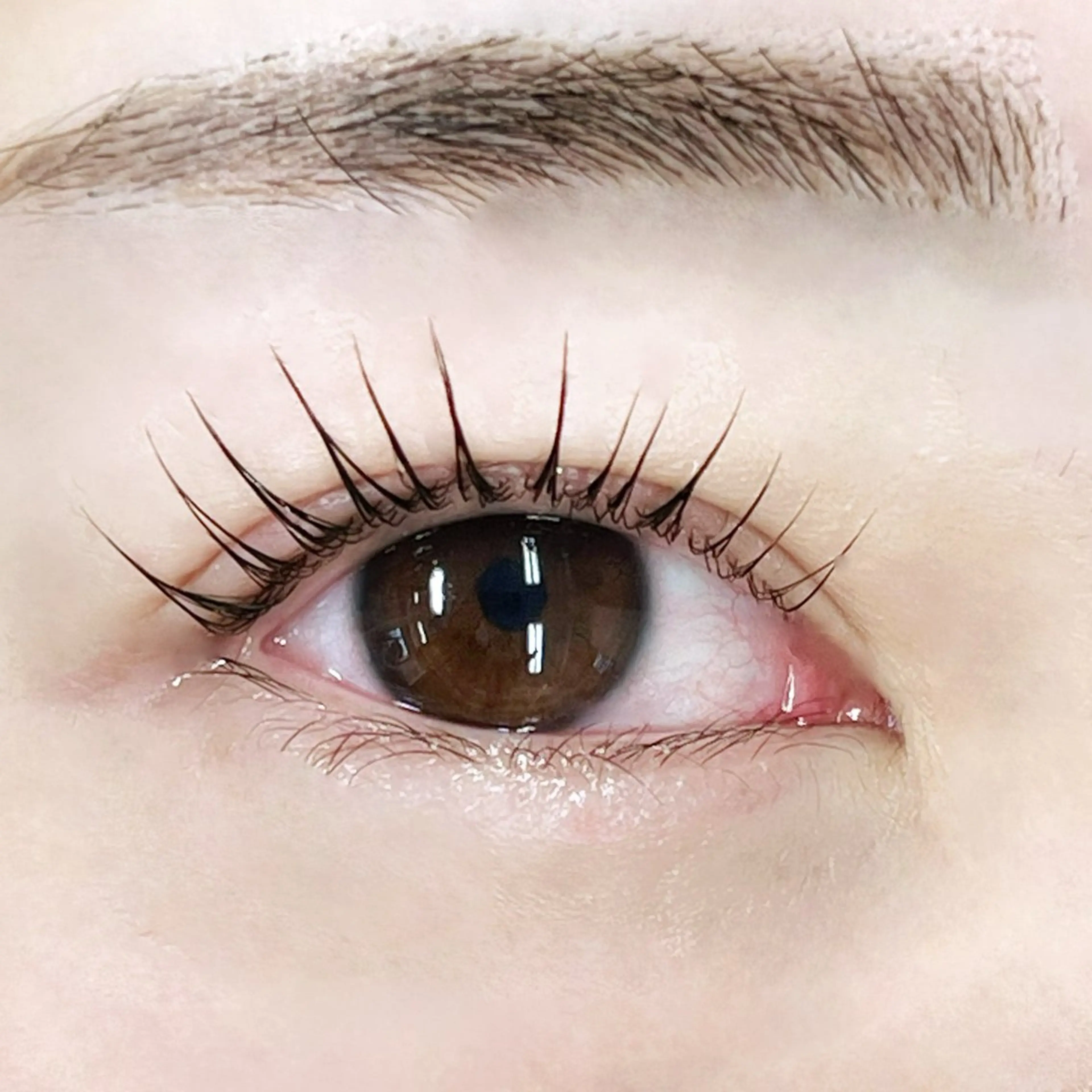 マツエク・マツパ R🌹 ⁺⊹˚.のマツエク・マツパデザイン