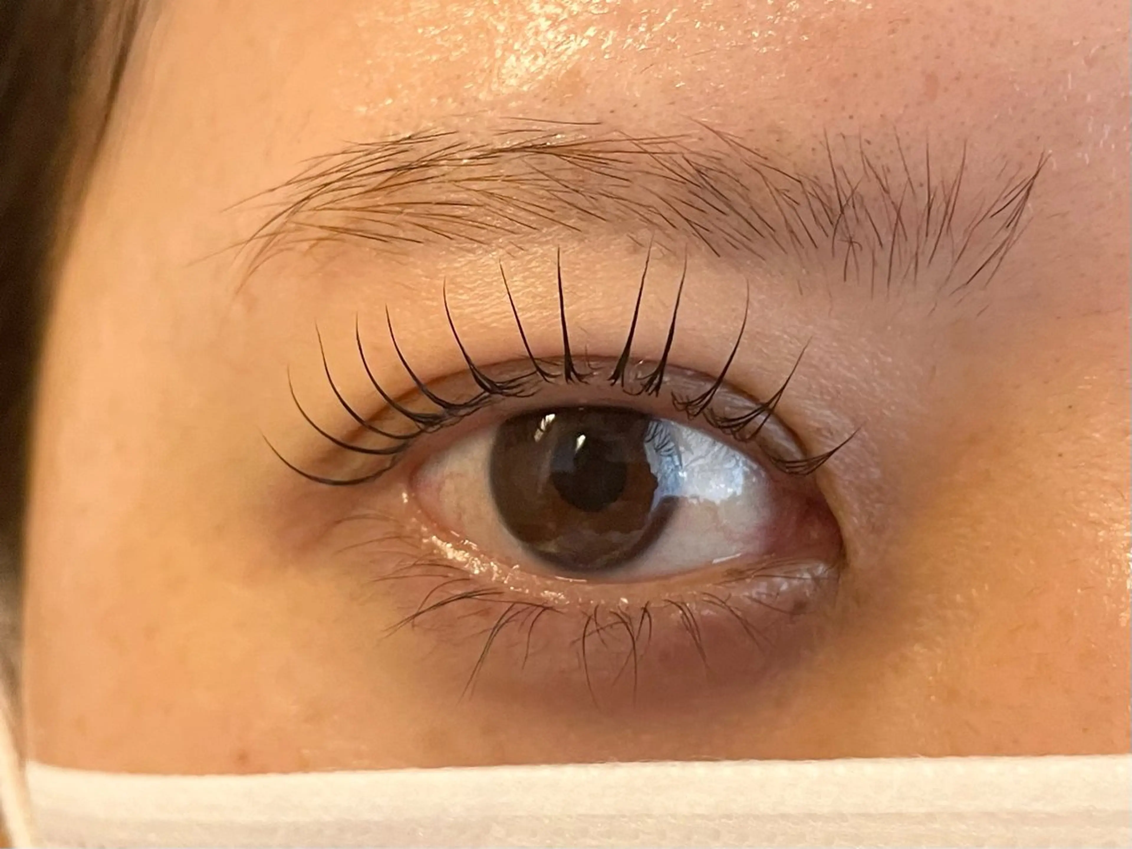 マツエク・マツパ nap eyelash福島駅前店所属・nap  福島駅前店 RANのマツエク・マツパデザイン