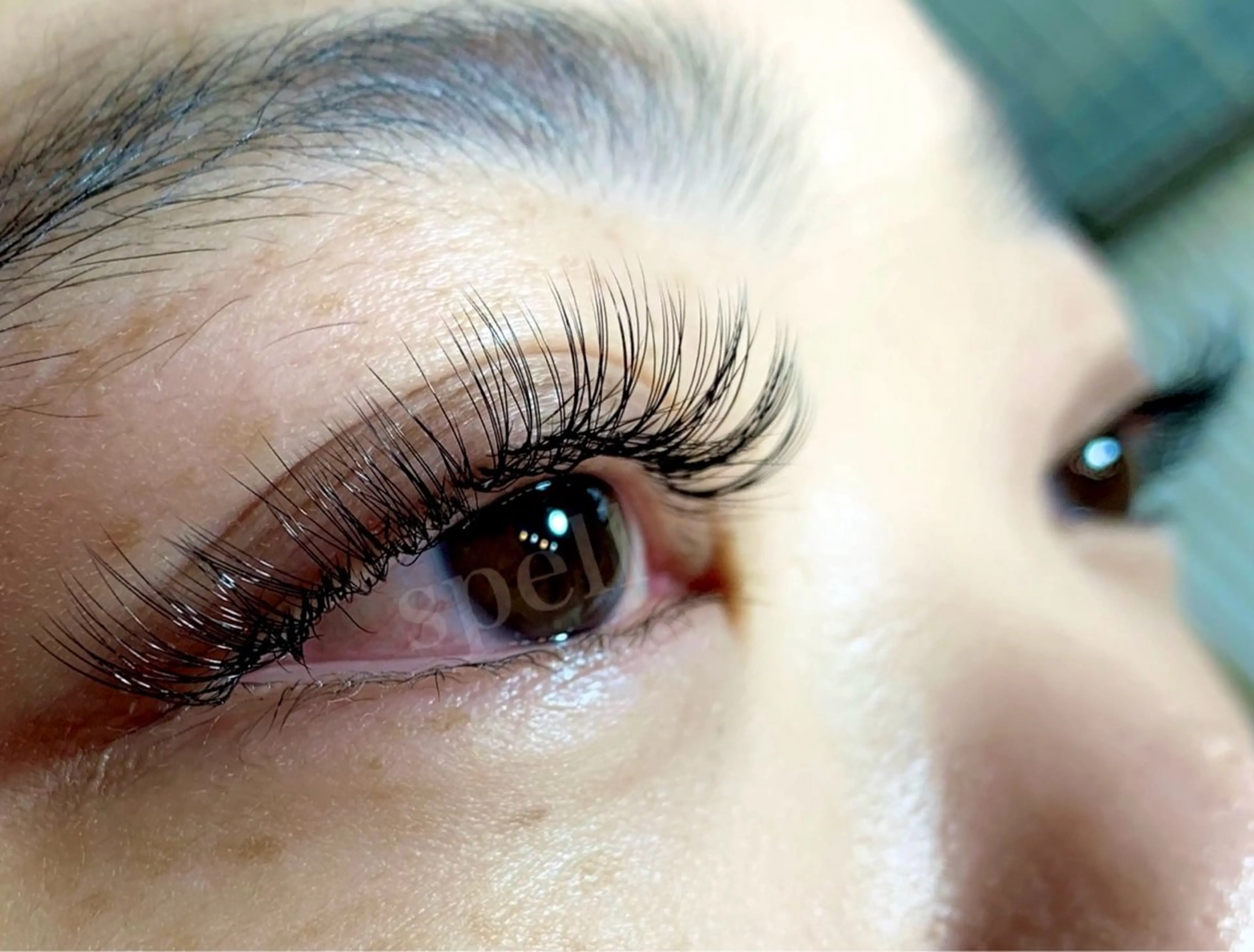 マツエク・マツパ spell_eyelash所属・spell eyelashのマツエク・マツパデザイン