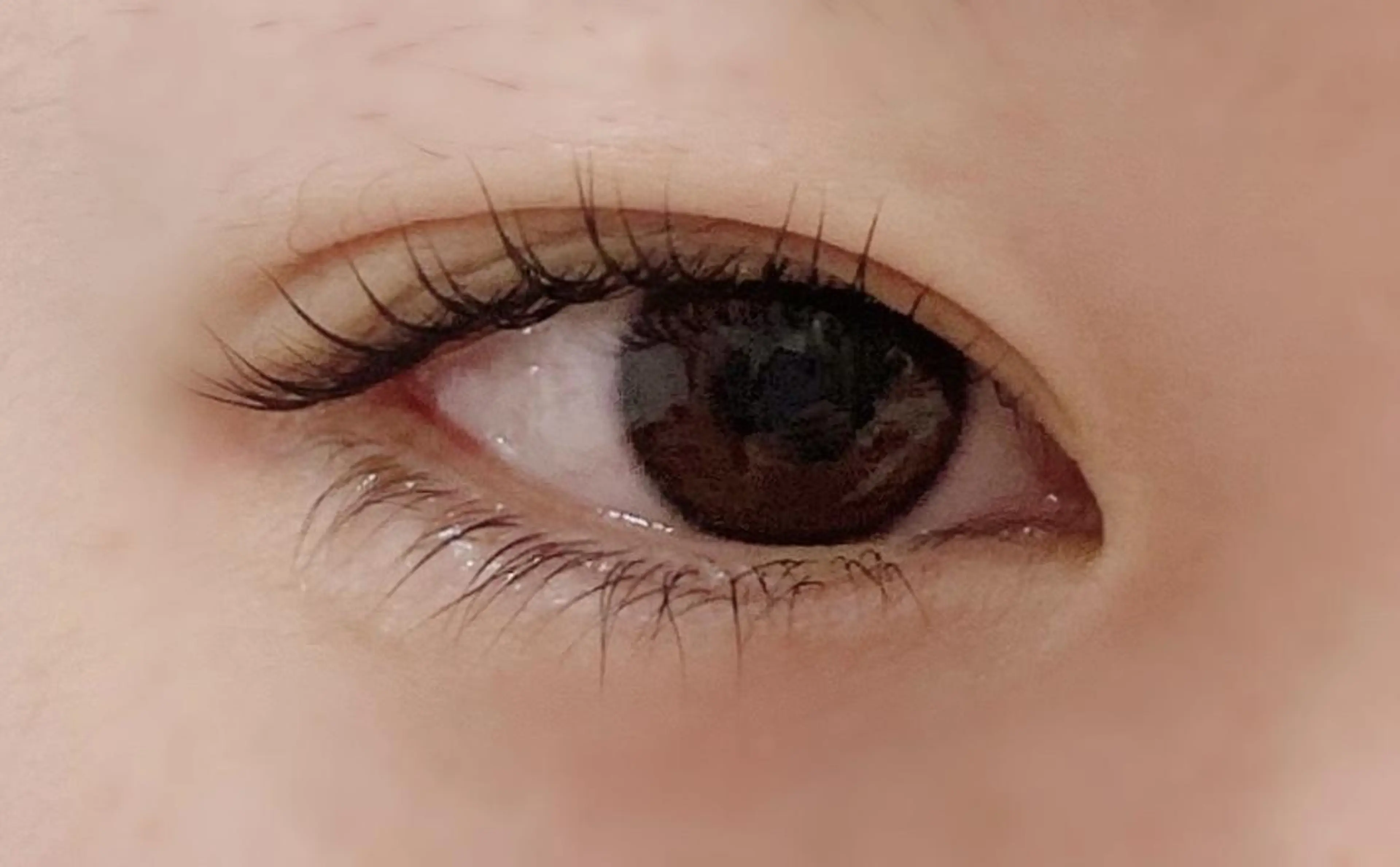 パーマ マツエク・マツパ kalon Sakuraのエステ・リラクイメージ