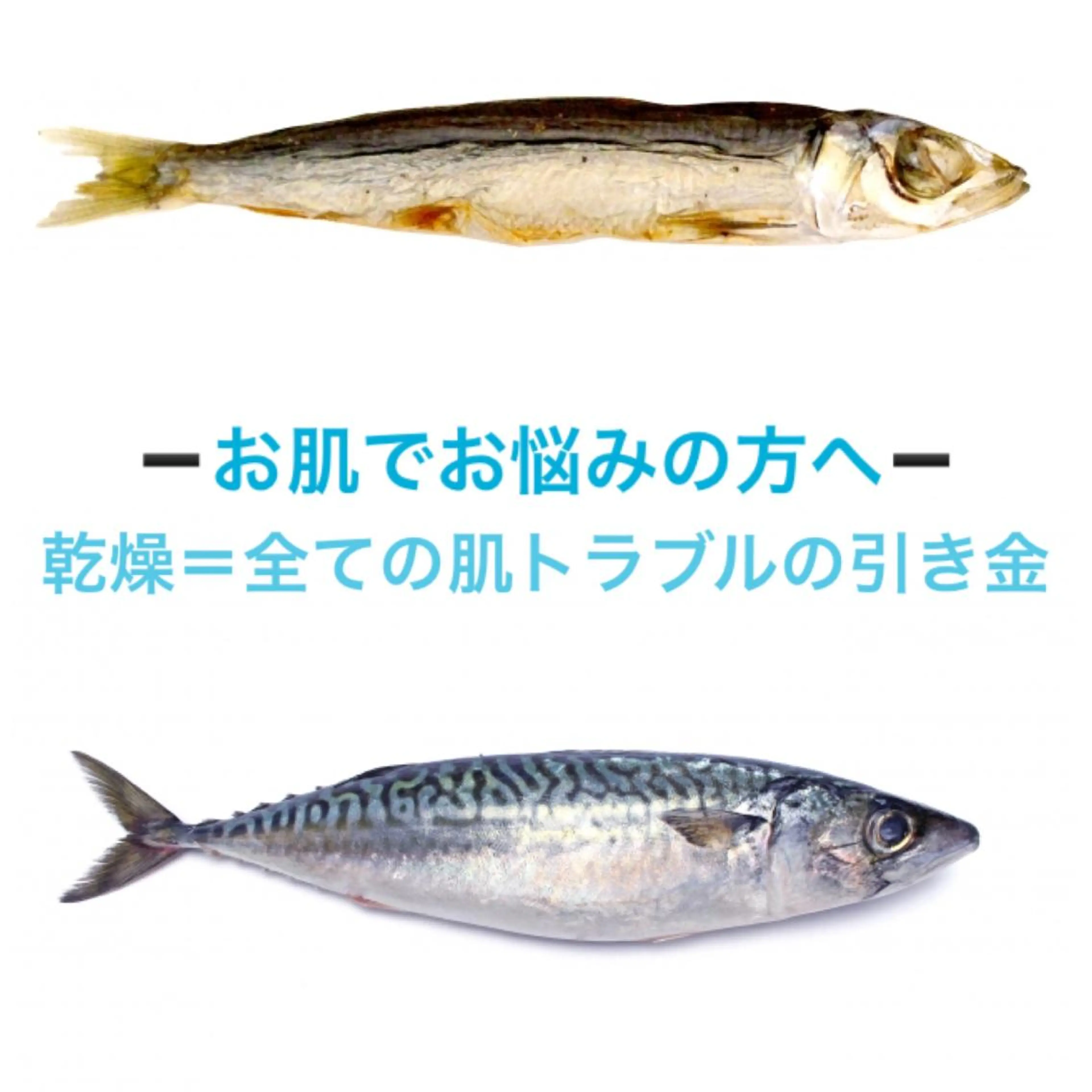 都度払い肌質改善 &脱毛Blancheのエステ・リラクイメージ