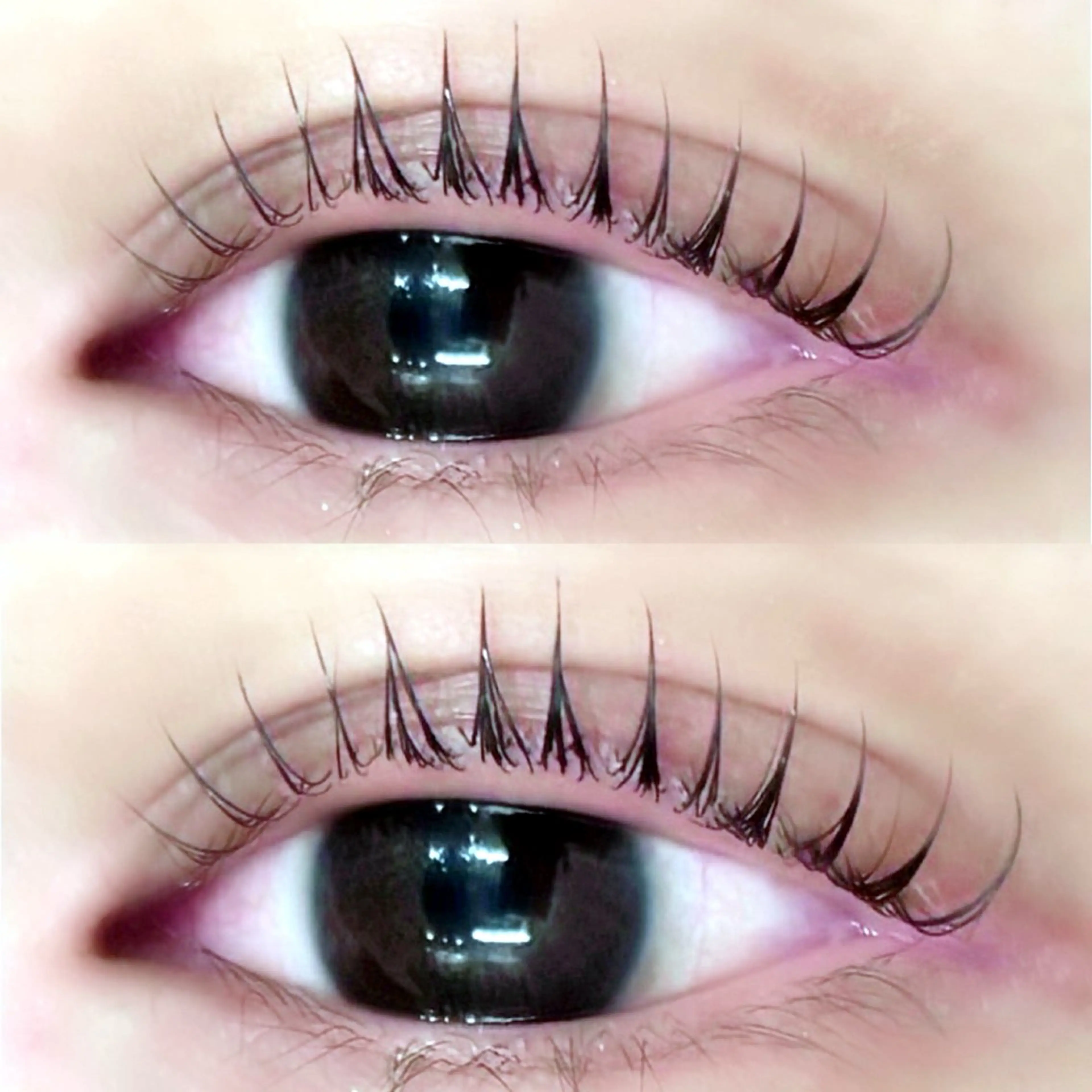 マツエク・マツパ 一重×まつ毛パーマ Lupines Asahi🔆のマツエク・マツパデザイン