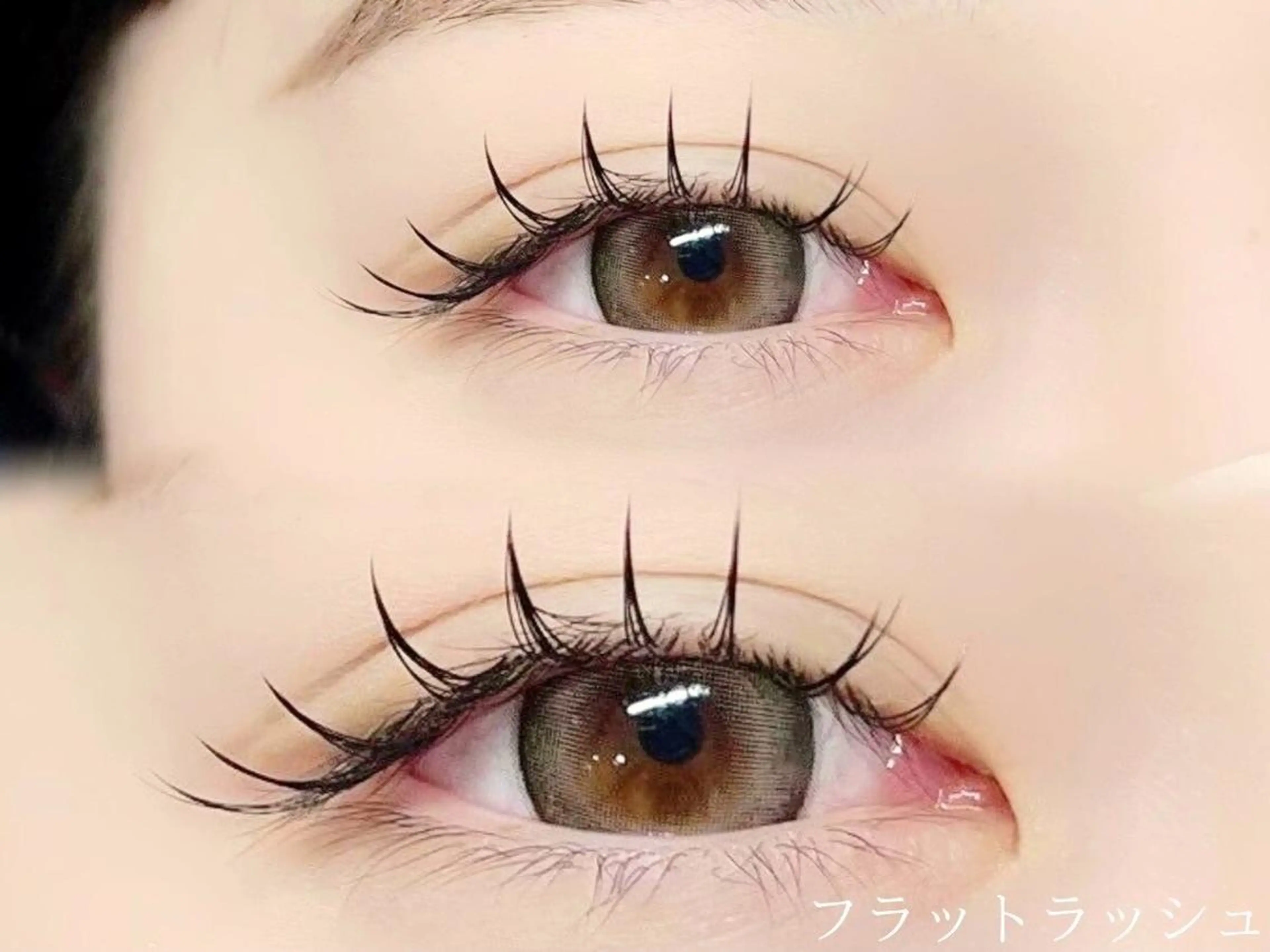 【オフ有りの方はこちらのクーポン🎀】フラットラッシュ120本￥2,980（下振り分け可/オフ込み）の写真