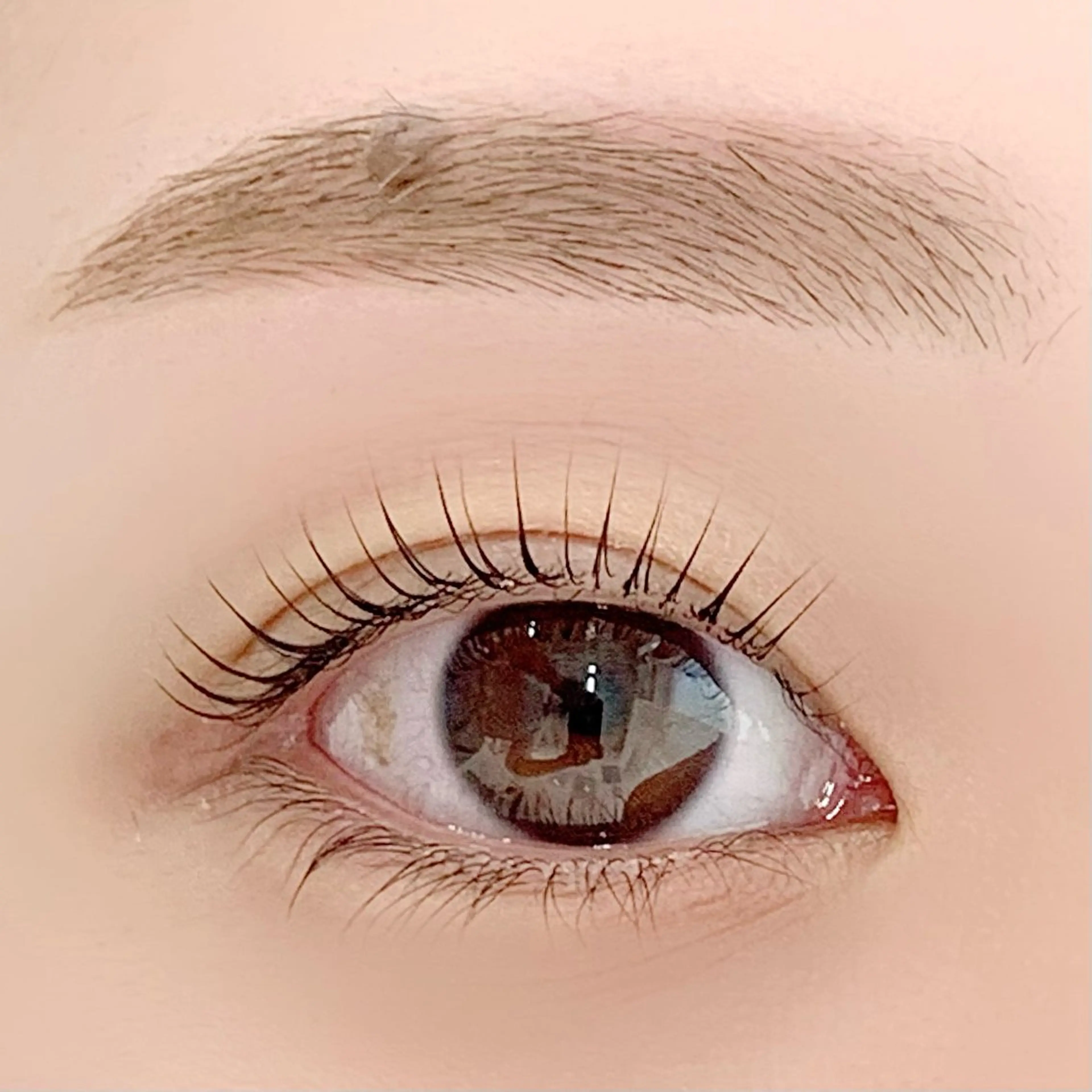 マツエク・マツパ ケラチンラッシュリフト ブラウンラッシュ カラーマツエク Jカール ナチュラル マツパ BellFlower Aki（眉・まつげ）のマツエク・マツパデザイン