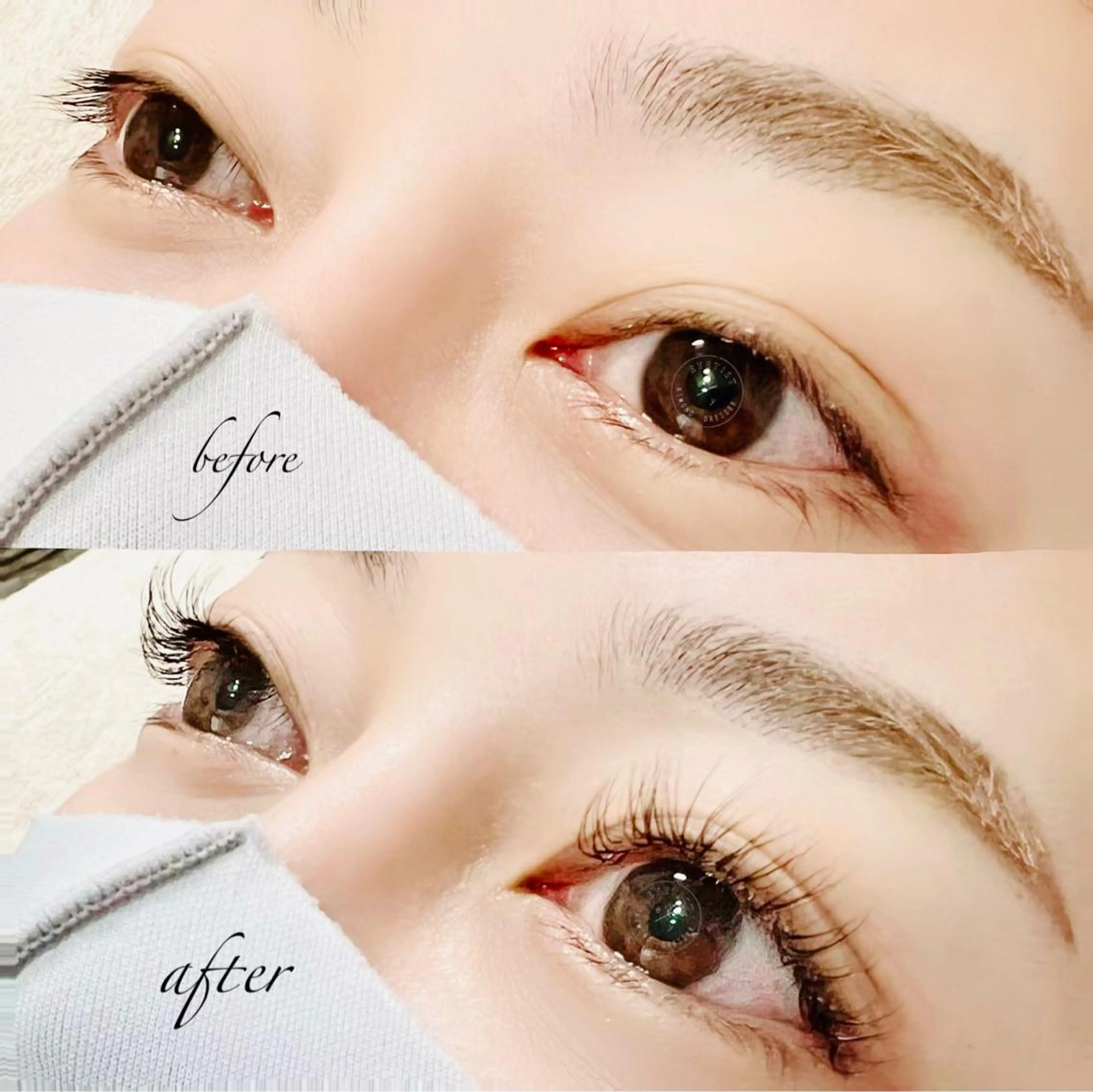 マツエク・マツパ ケラチンラッシュリフト バインドロック 束感まつ毛 Cカール キュート マツエク eyelash presh yukaのマツエク・マツパデザイン